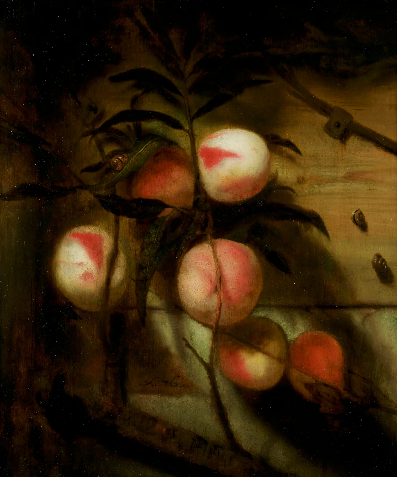Still Life of Peaches
