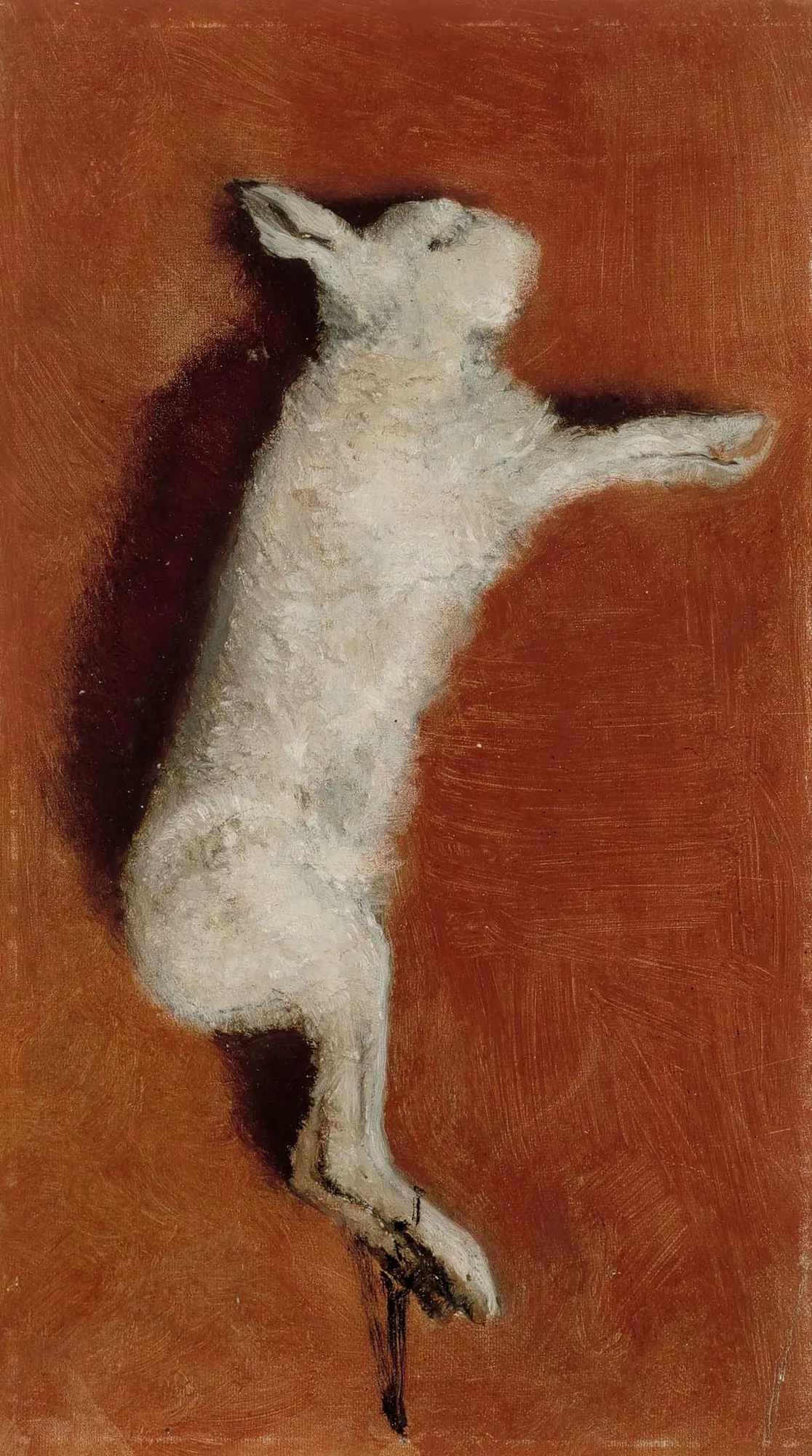 Dead Hare, Study