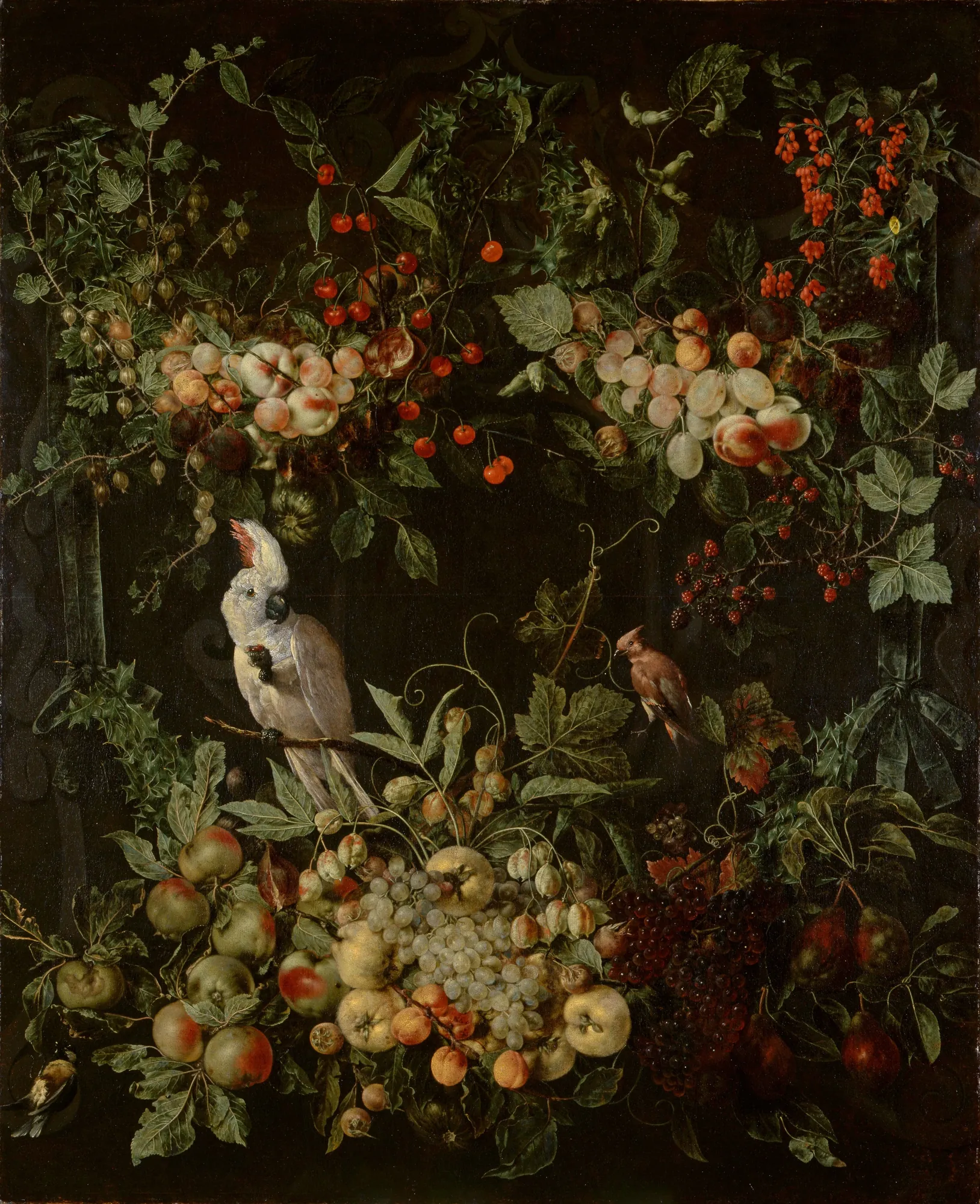 Swags of Fruit and Flowers with a Cockatoo