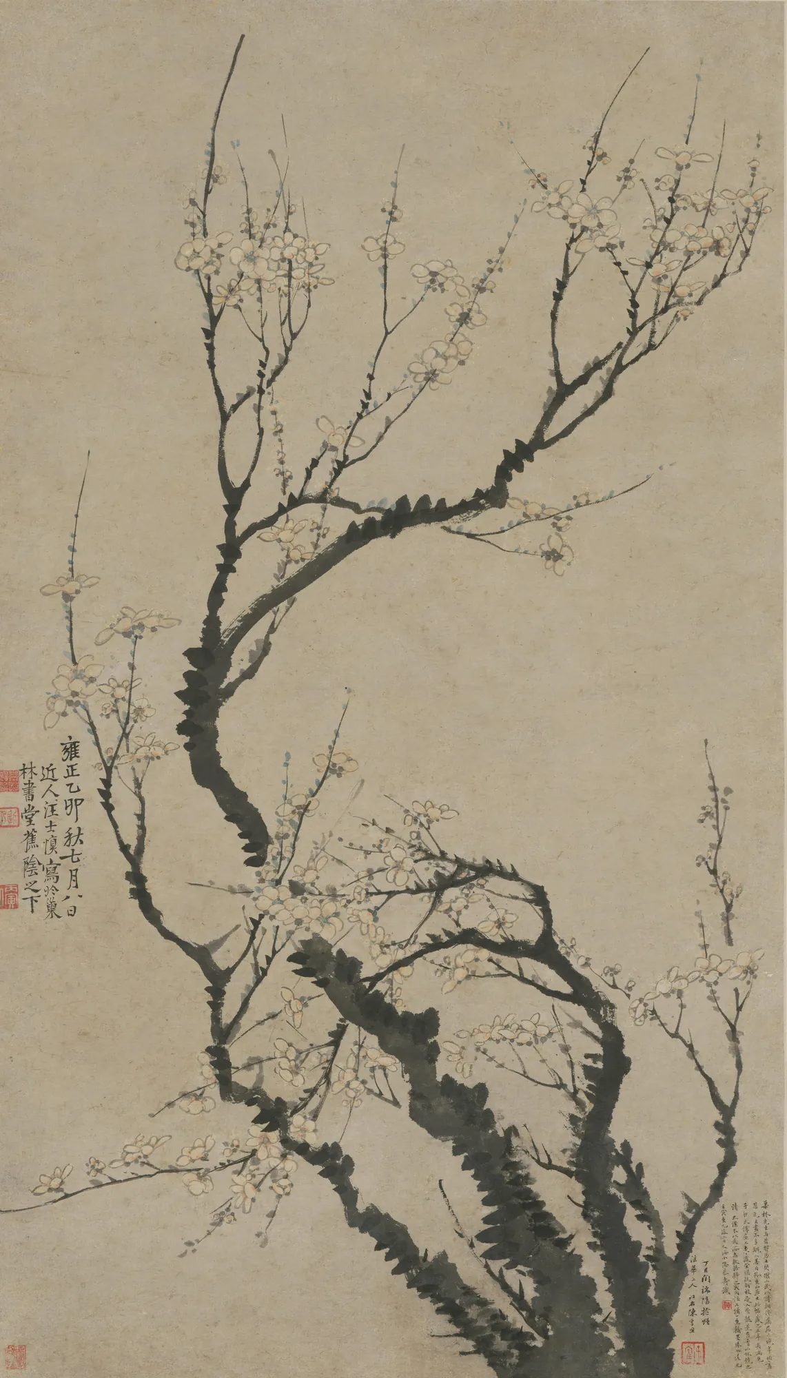 Plum Blossoms