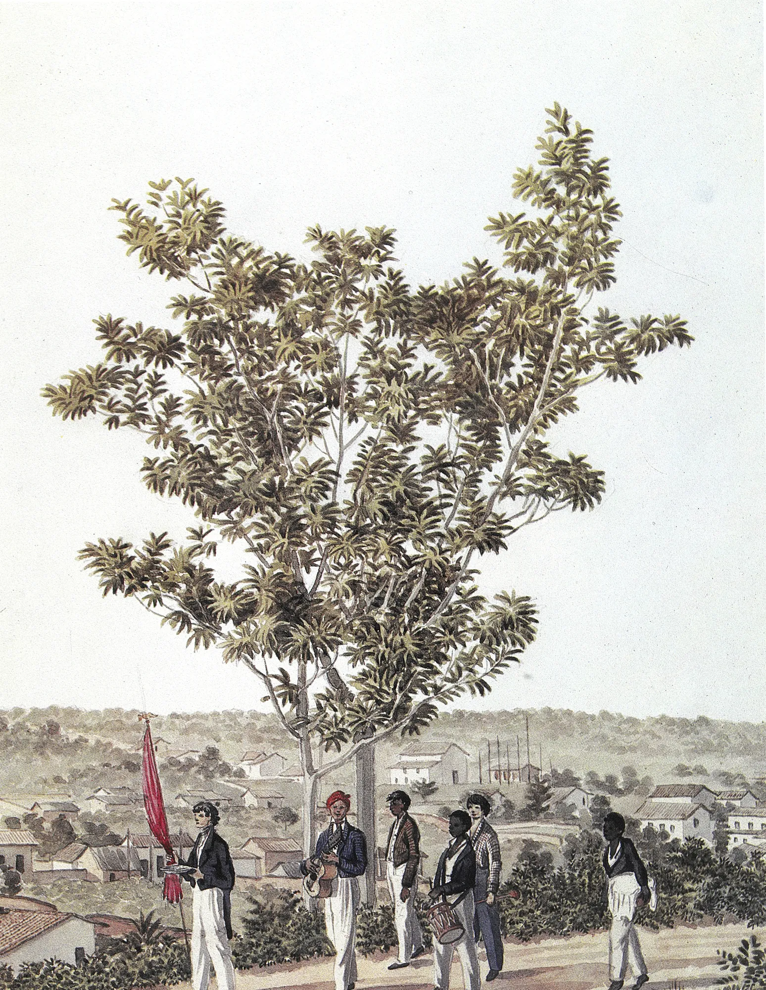 Arbre Appellé Genipavera
