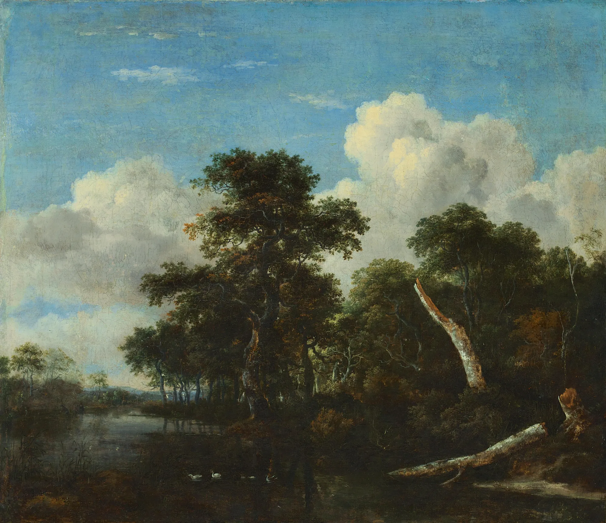 Forest Thicket Forest Thicket by Jacob van Ruisdael. A dense woodland clearing with a pond in the foreground, featuring gnarled trees, a fallen birch log, and a vast sky of white clouds.