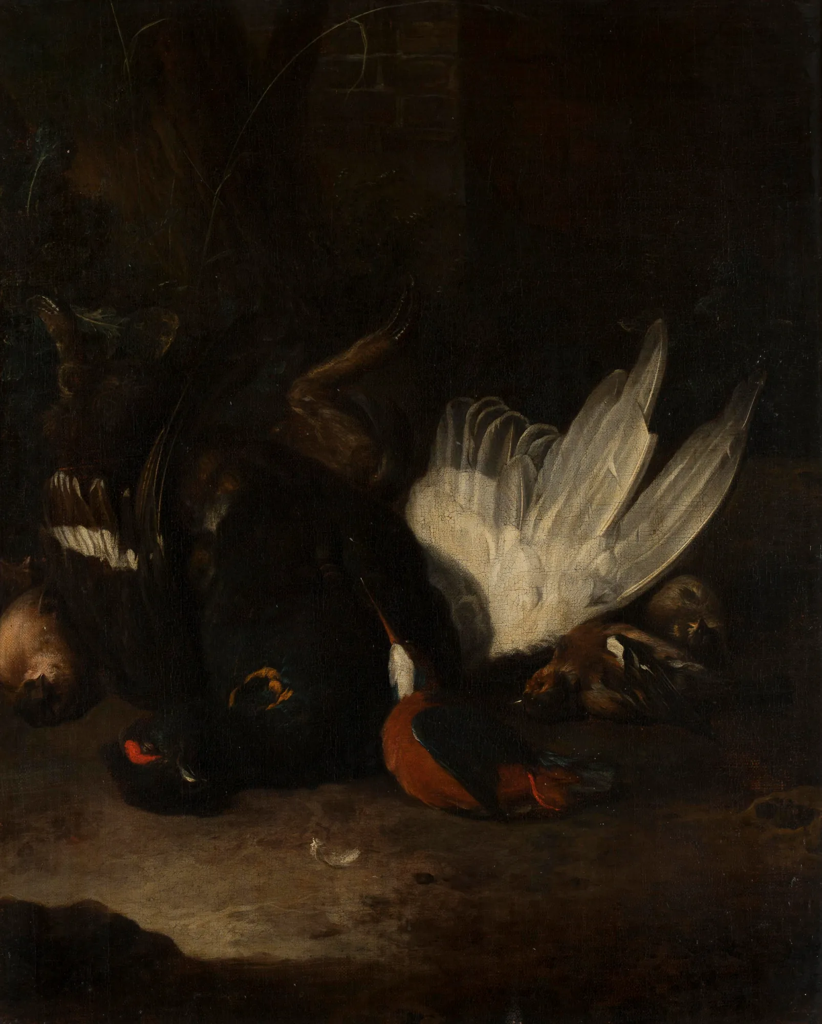 Still Life with Dead Birds
