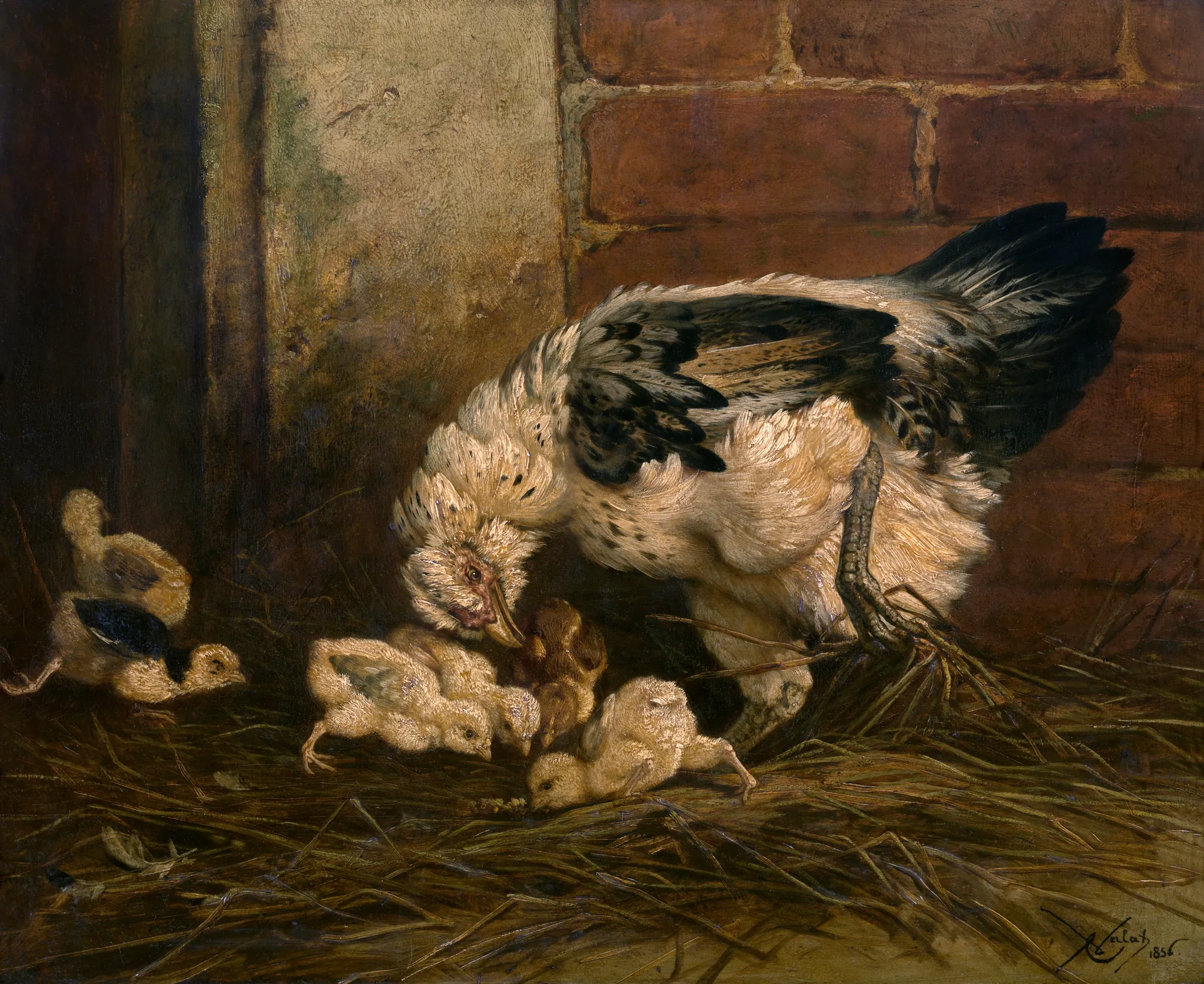 Hen with Chicks