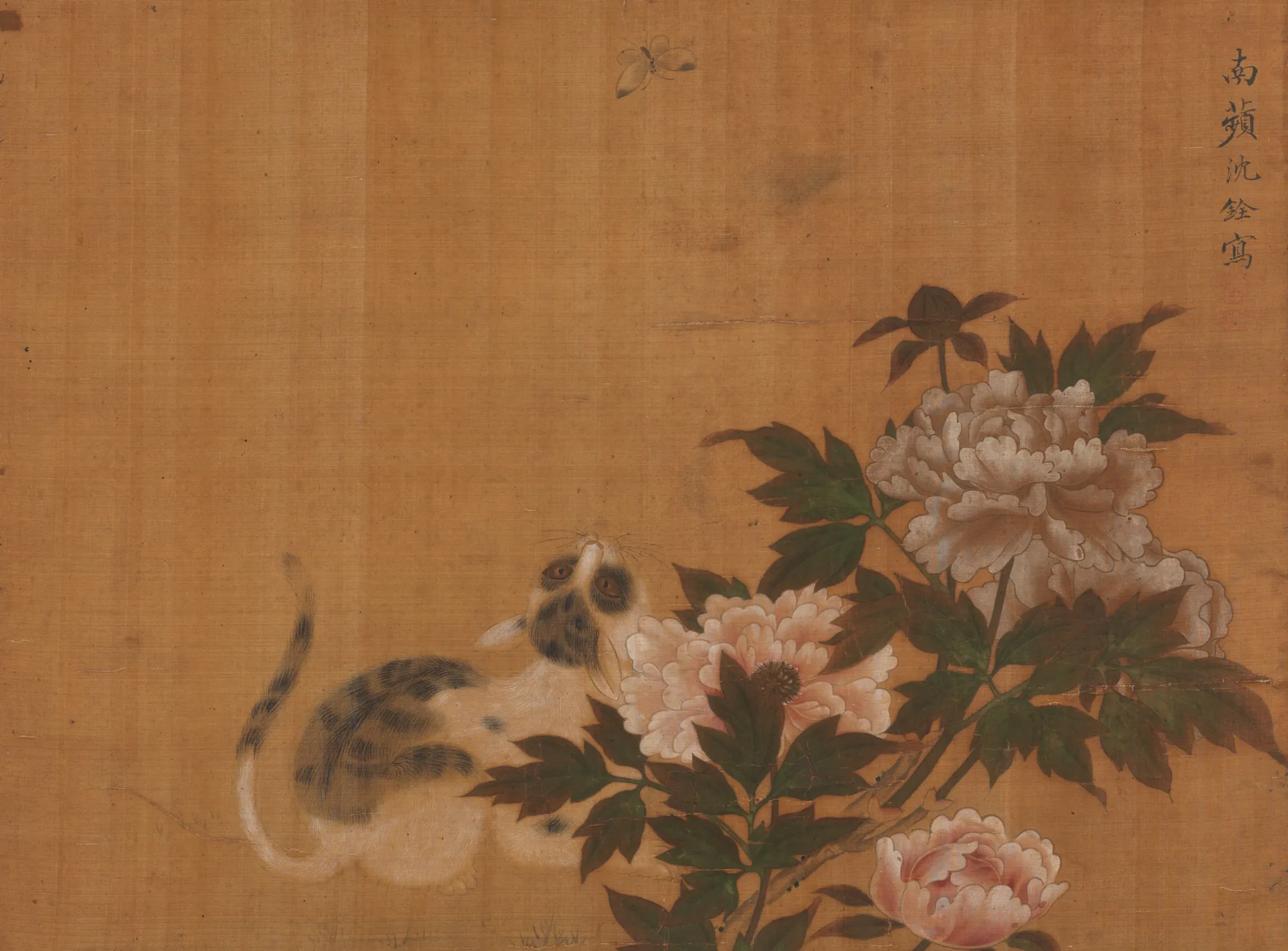 Cat and Butterfly among Peonies