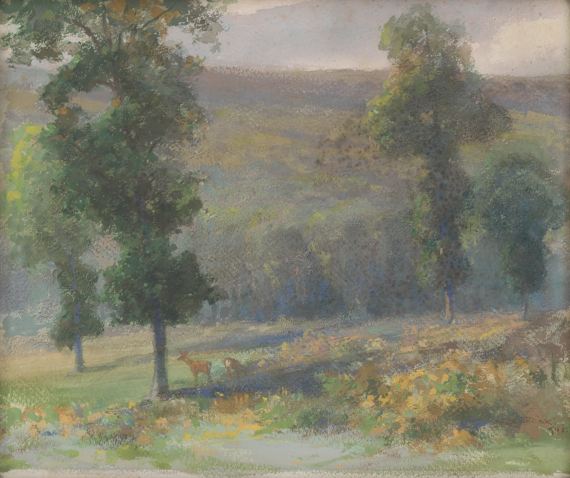 Forest with Deer