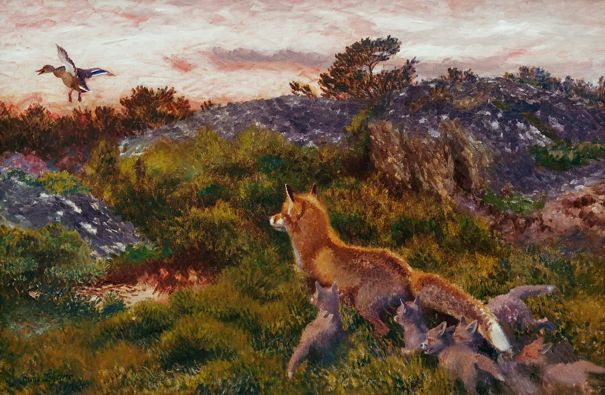 A Fox Family with Stretching Mallard A Fox Family with Stretching Mallard by Bruno Liljefors. A red fox and her cubs stand in a scrubby, rocky landscape watching a mallard duck fly overhead against a pink-tinged sky.