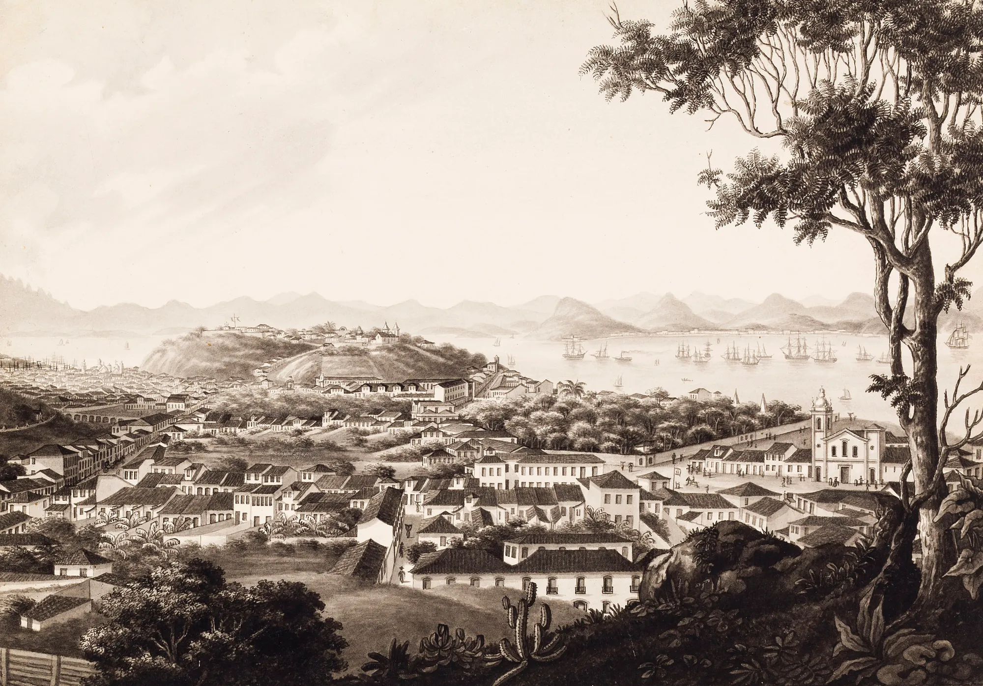 Vista do Rio de Janeiro do Convento de Santa Teresa