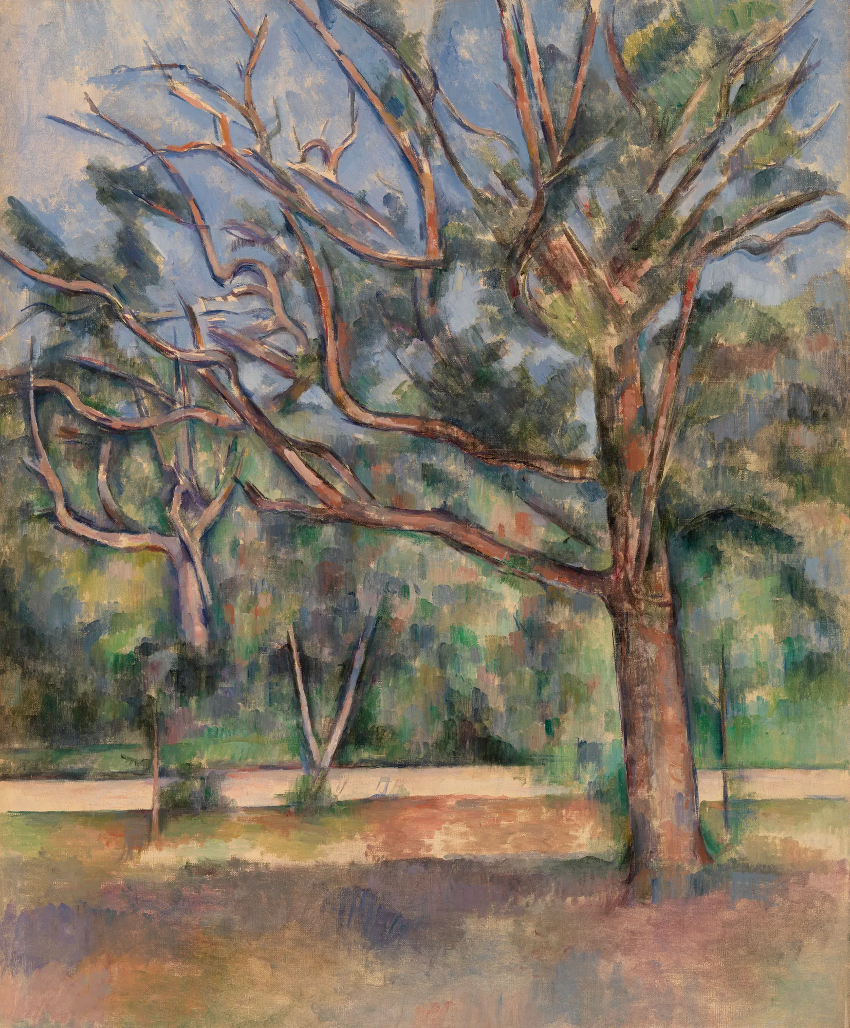 Trees and Road (Arbres et route)