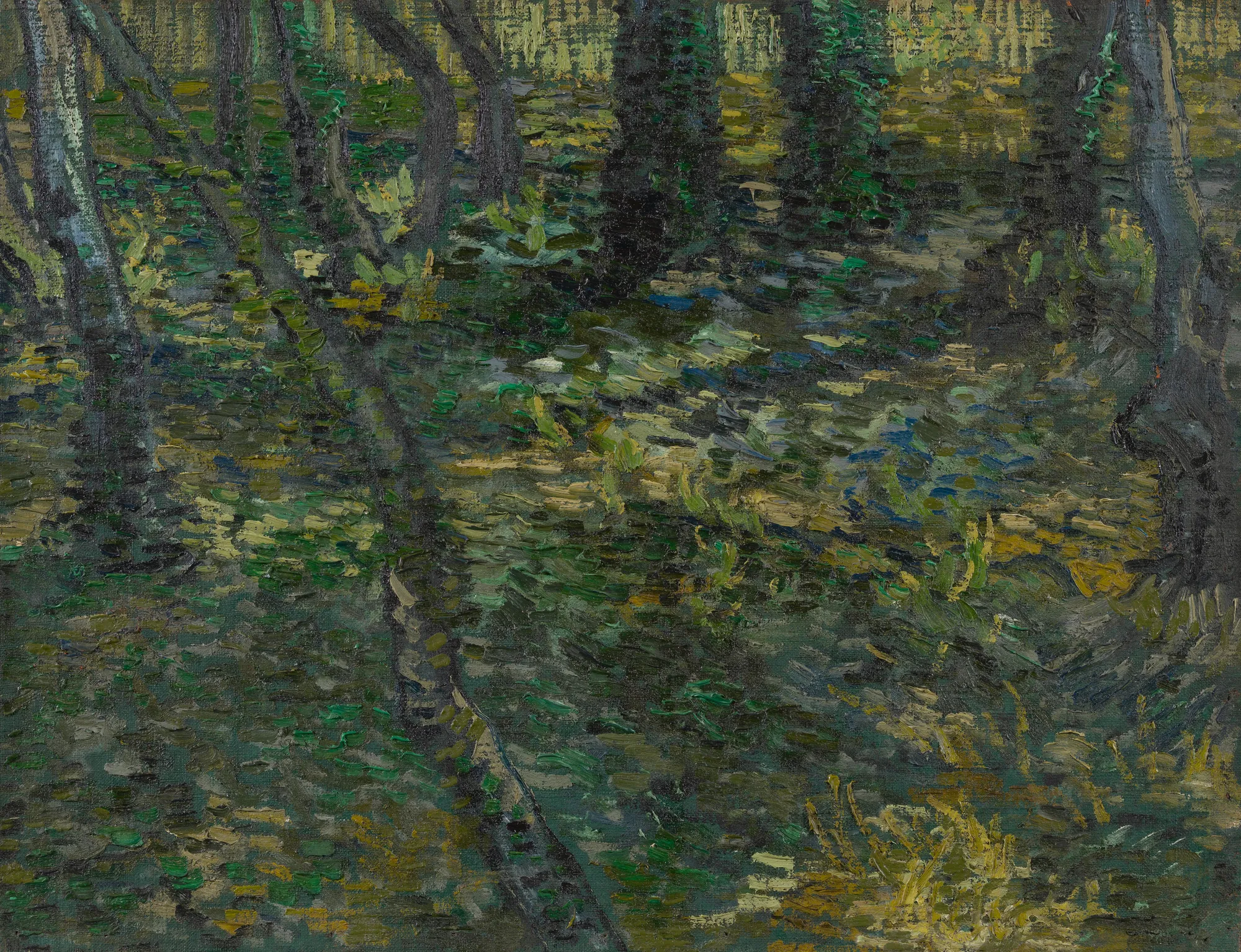 Undergrowth