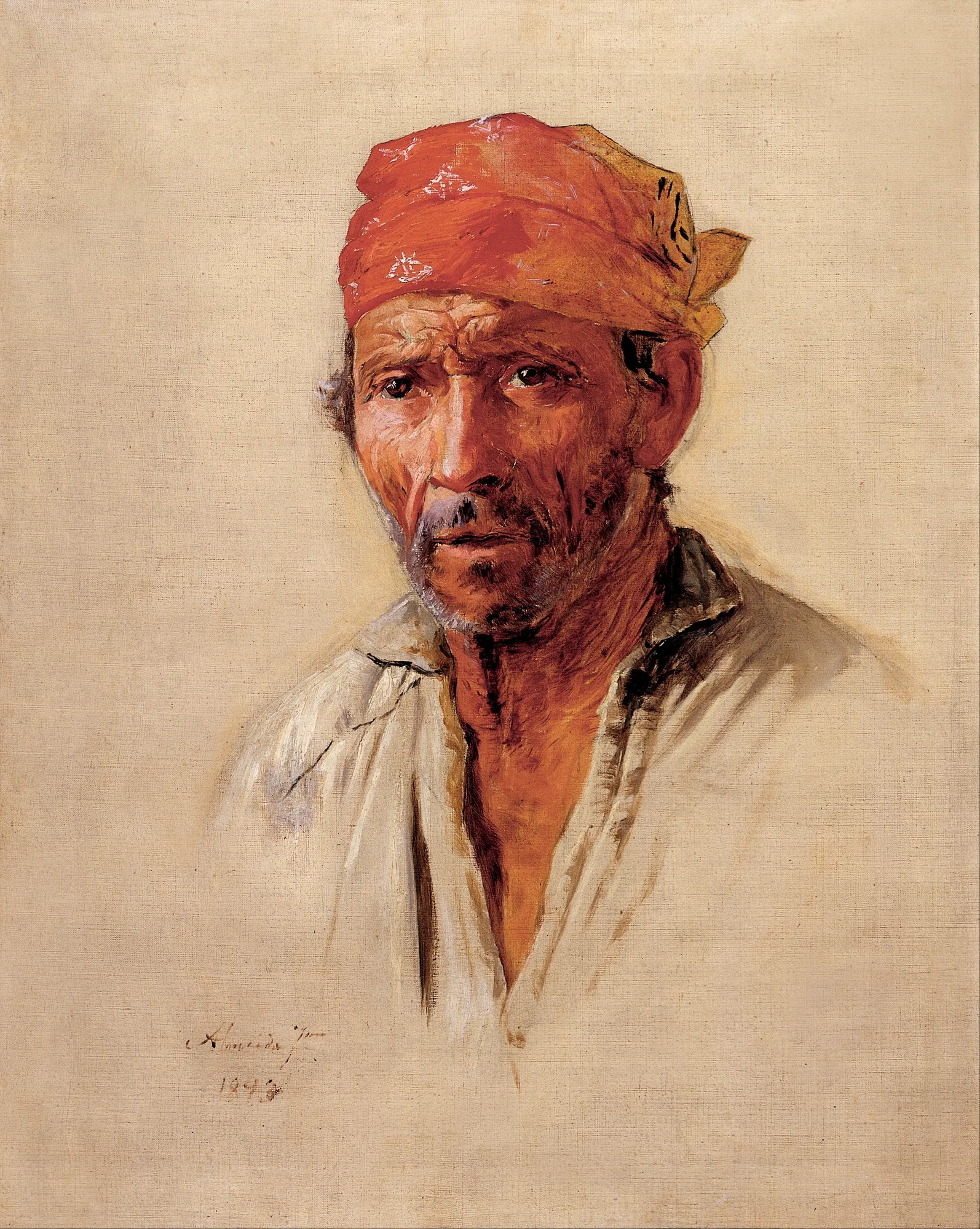 Study of Caipira’s Head