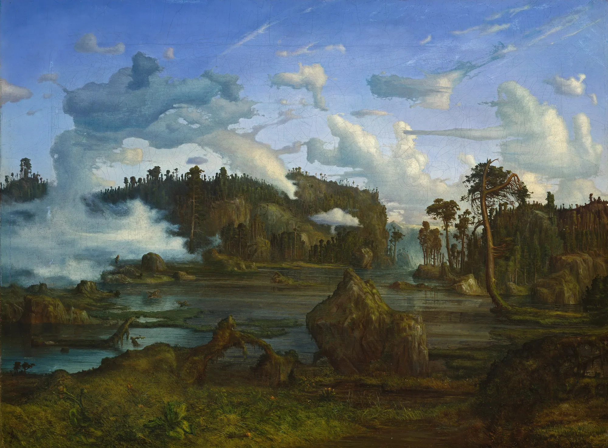 The Tarn
