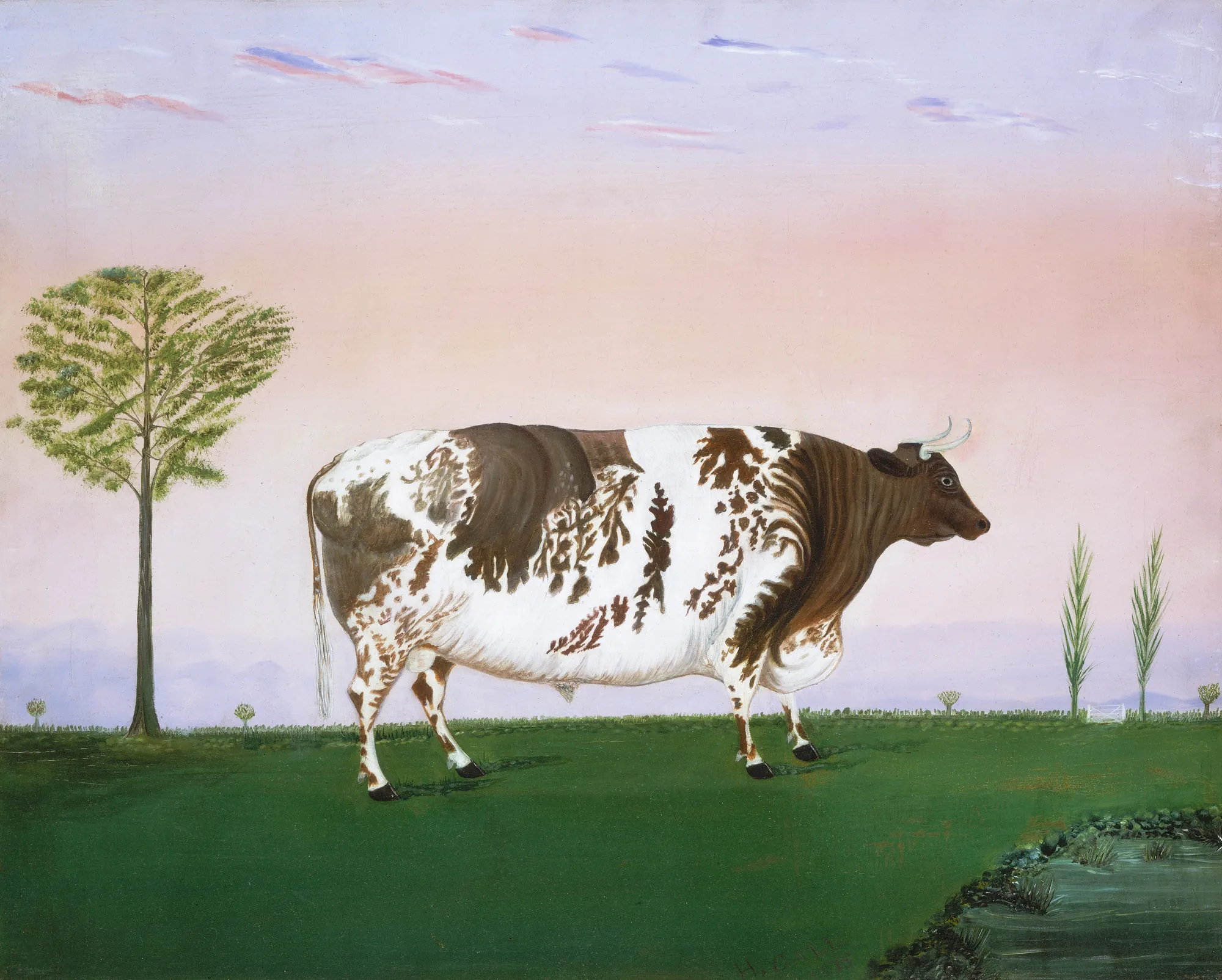 Prize Bull