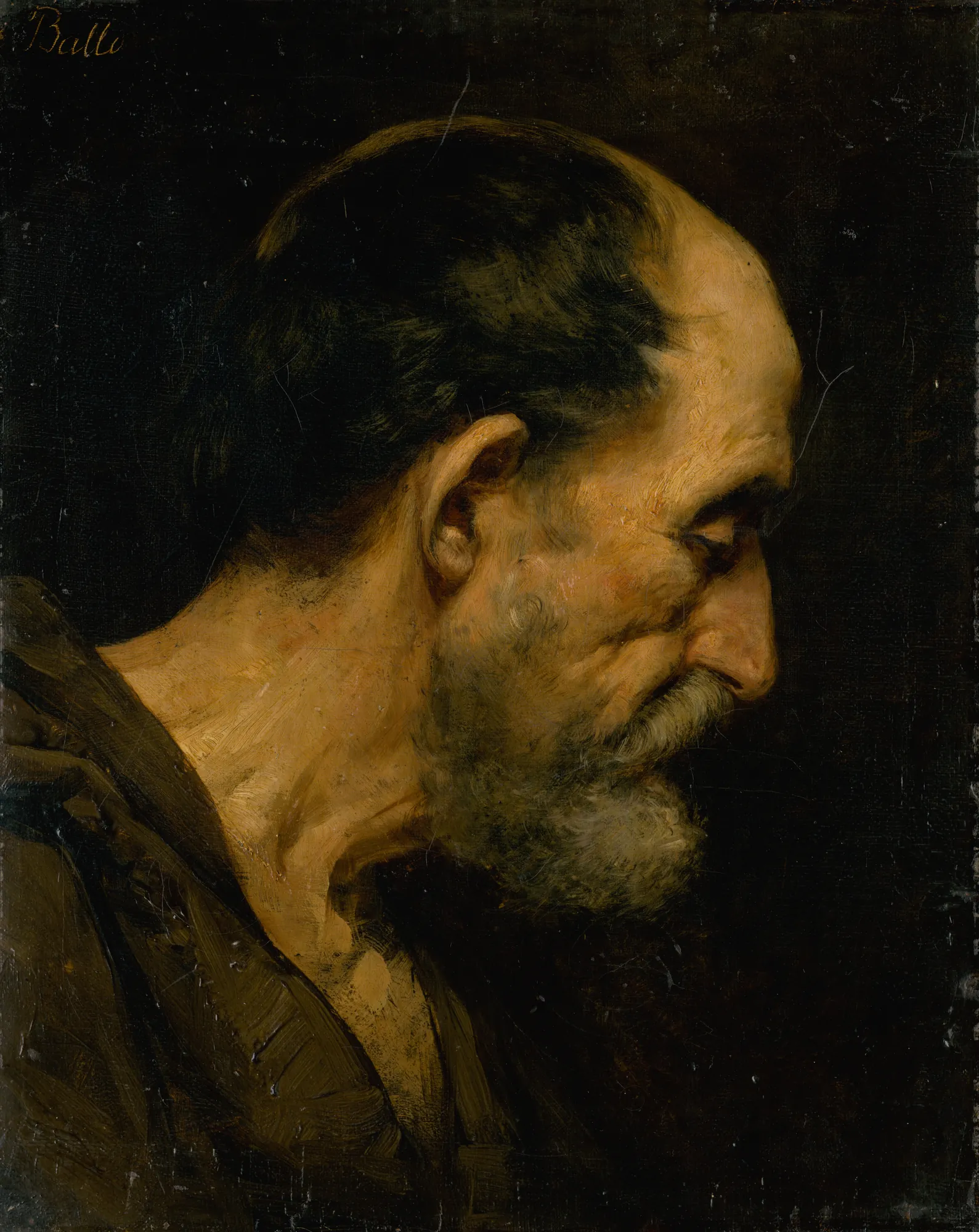 Head Study of an Old Man