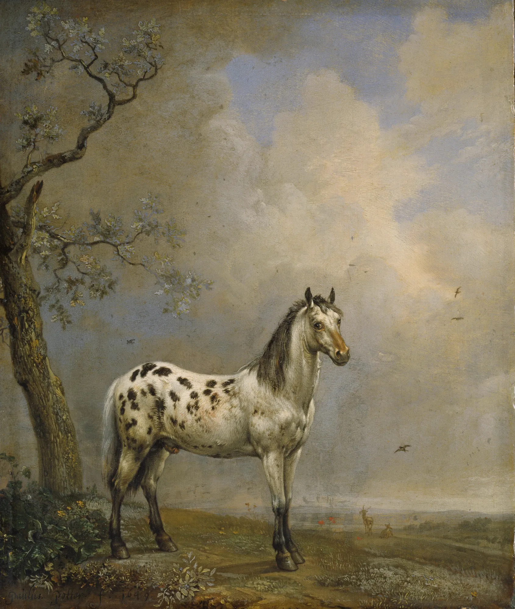 The Spotted Horse