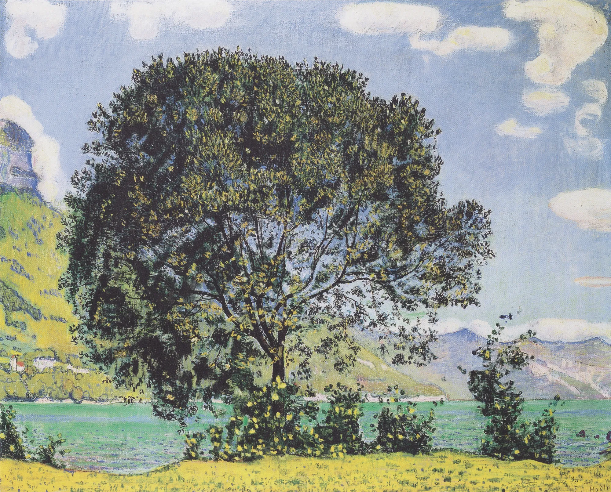Tree at Lake Brienz from Bödeli