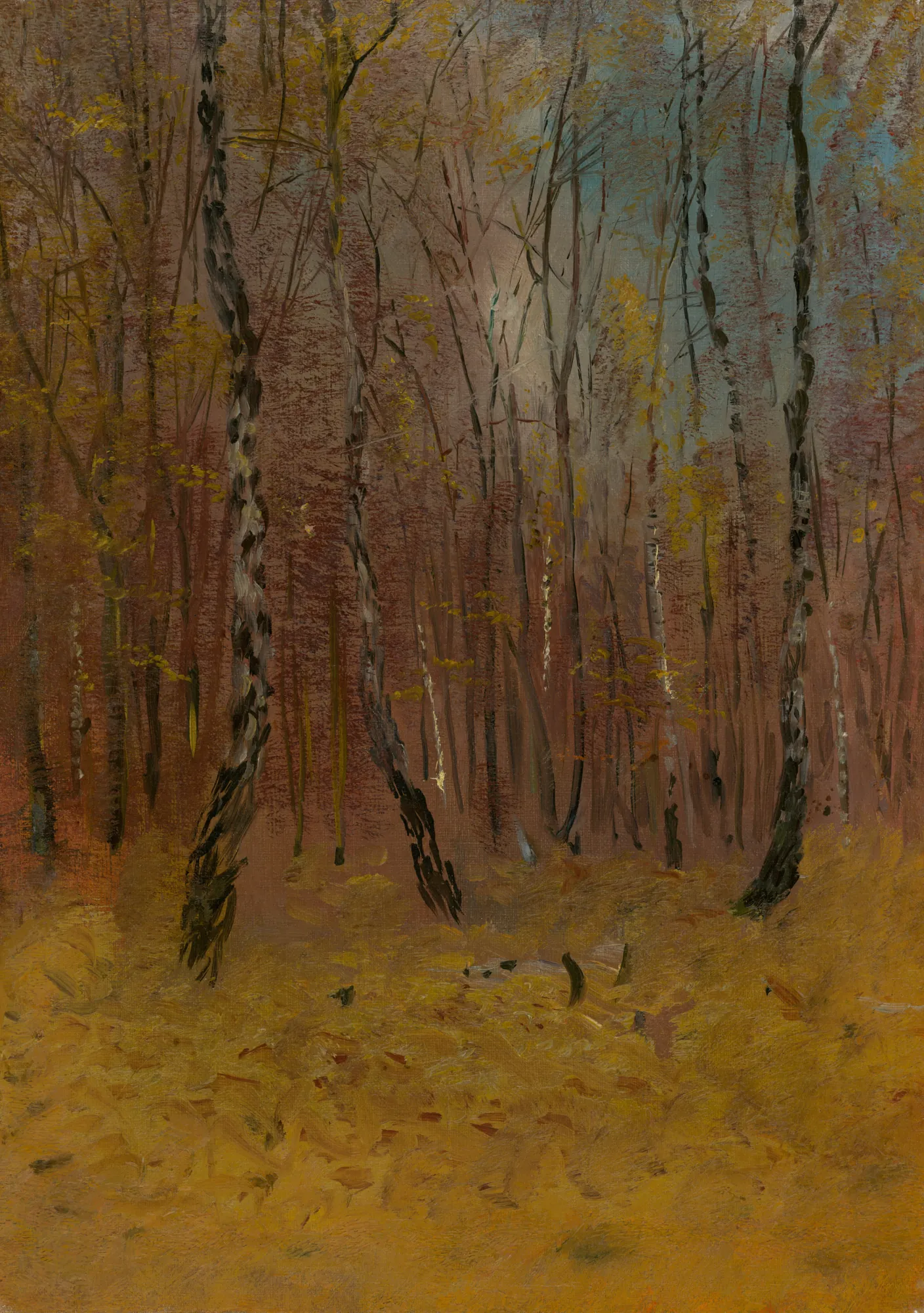 Autumn Forest (Jesenný les)