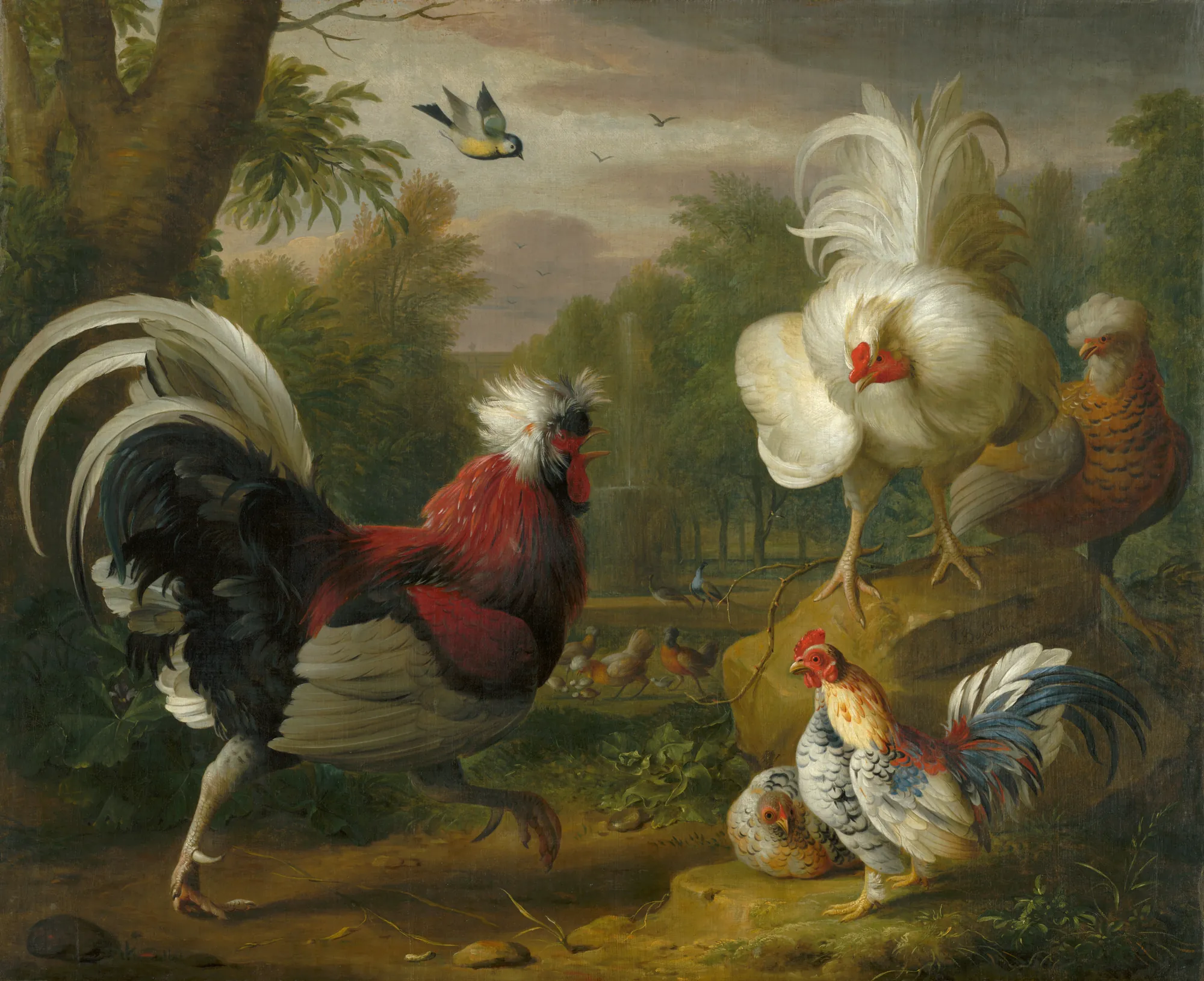 The Cockrel's Fight