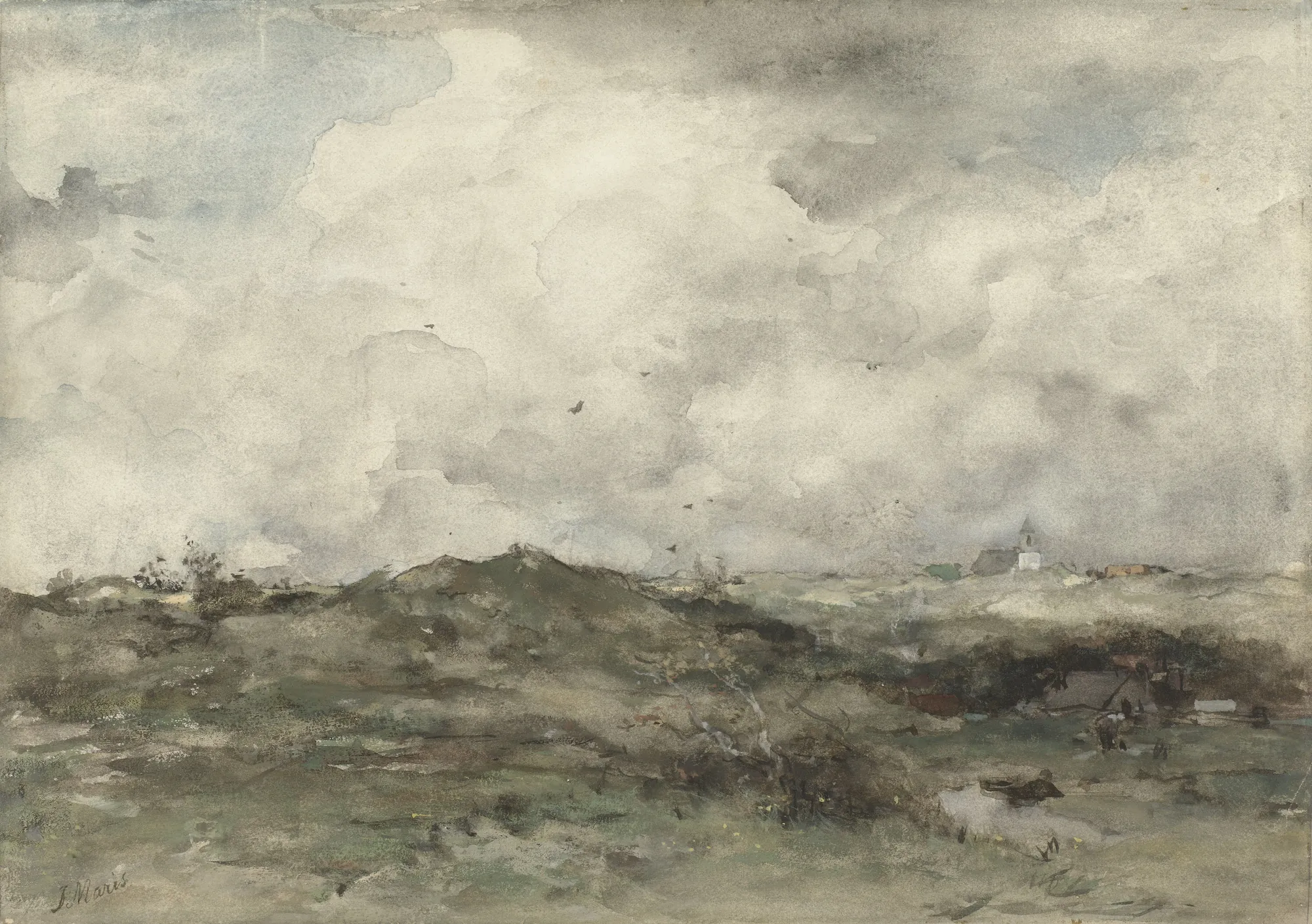 Dune Landscape