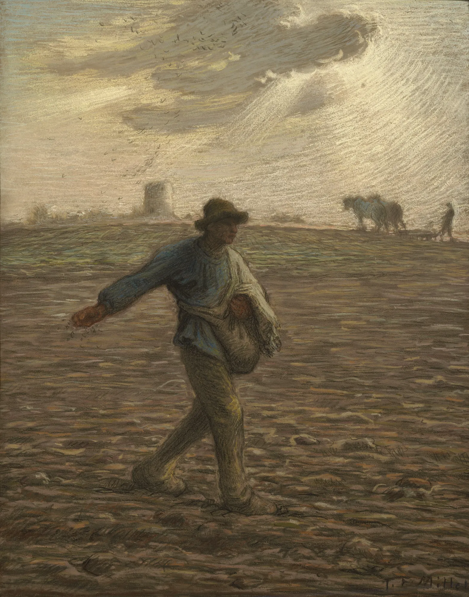 The Sower