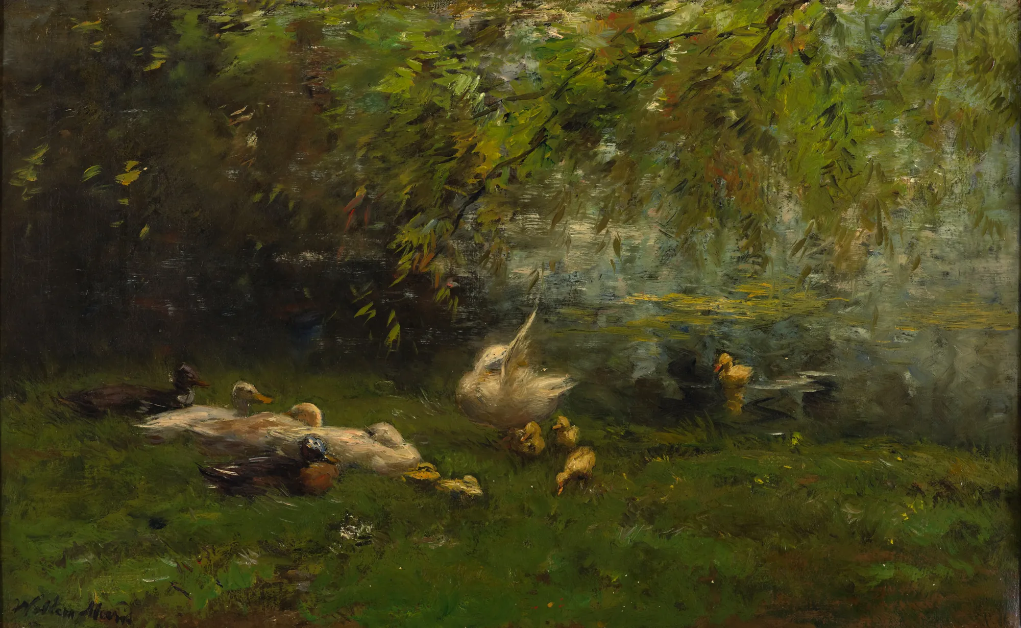 Duck Heaven