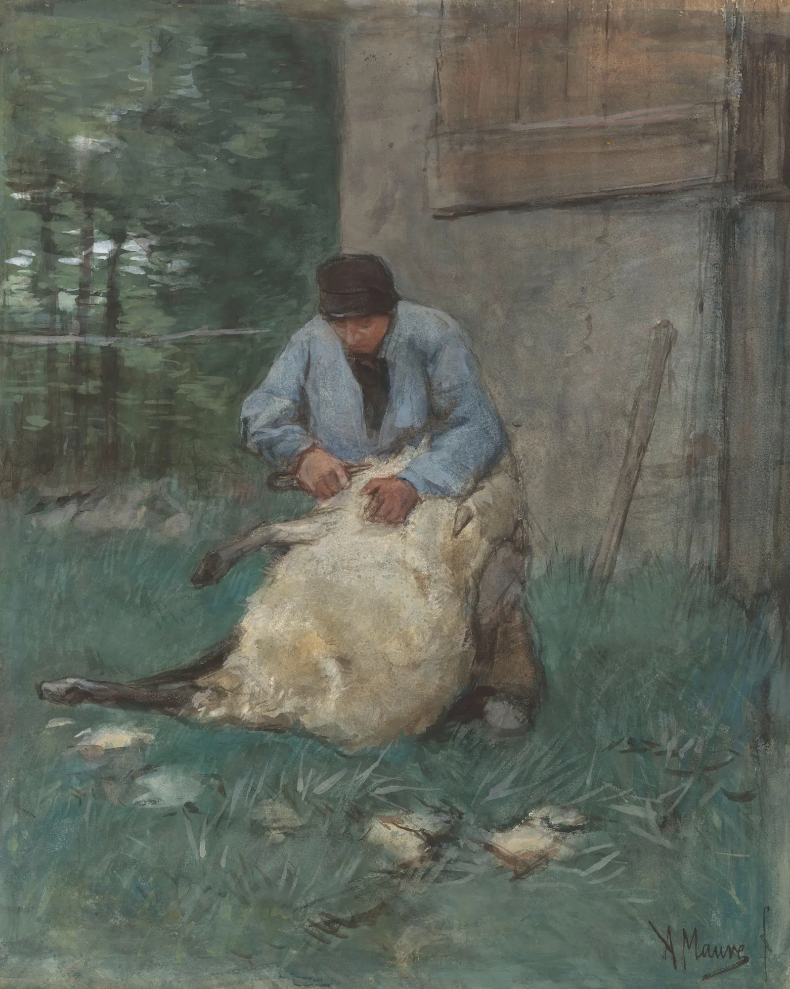 The Sheep Shearer