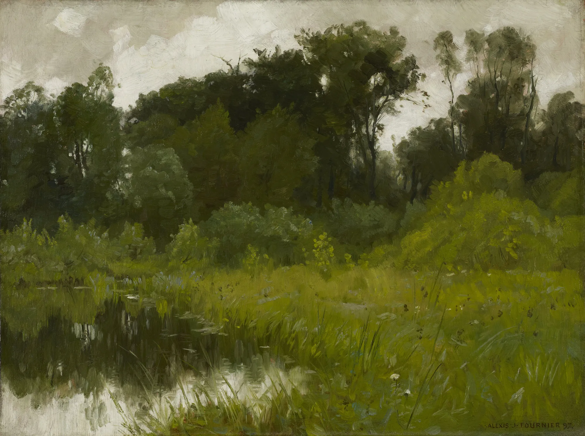 After Rain, on Minnehaha Creek