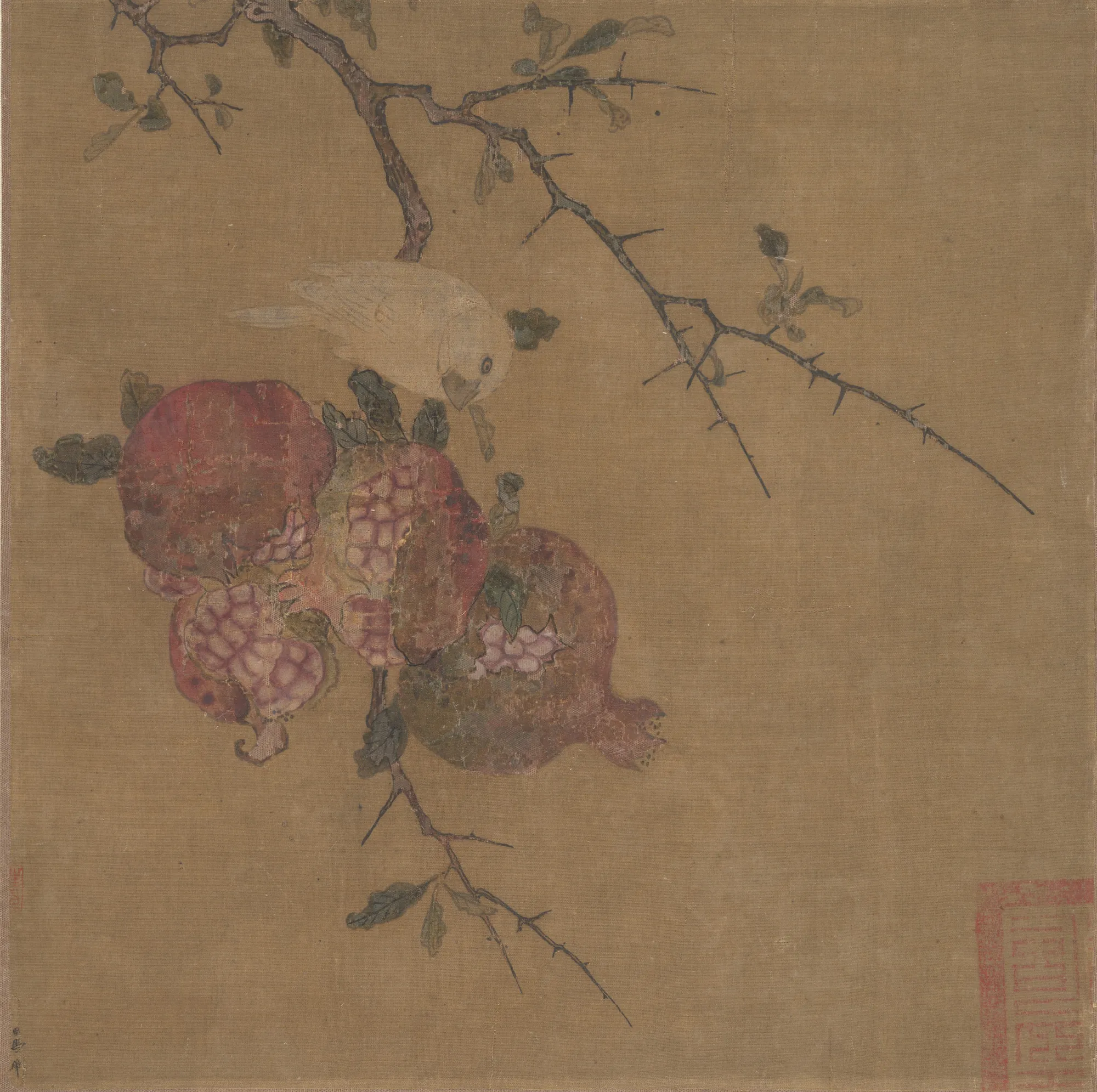 Pomegranates