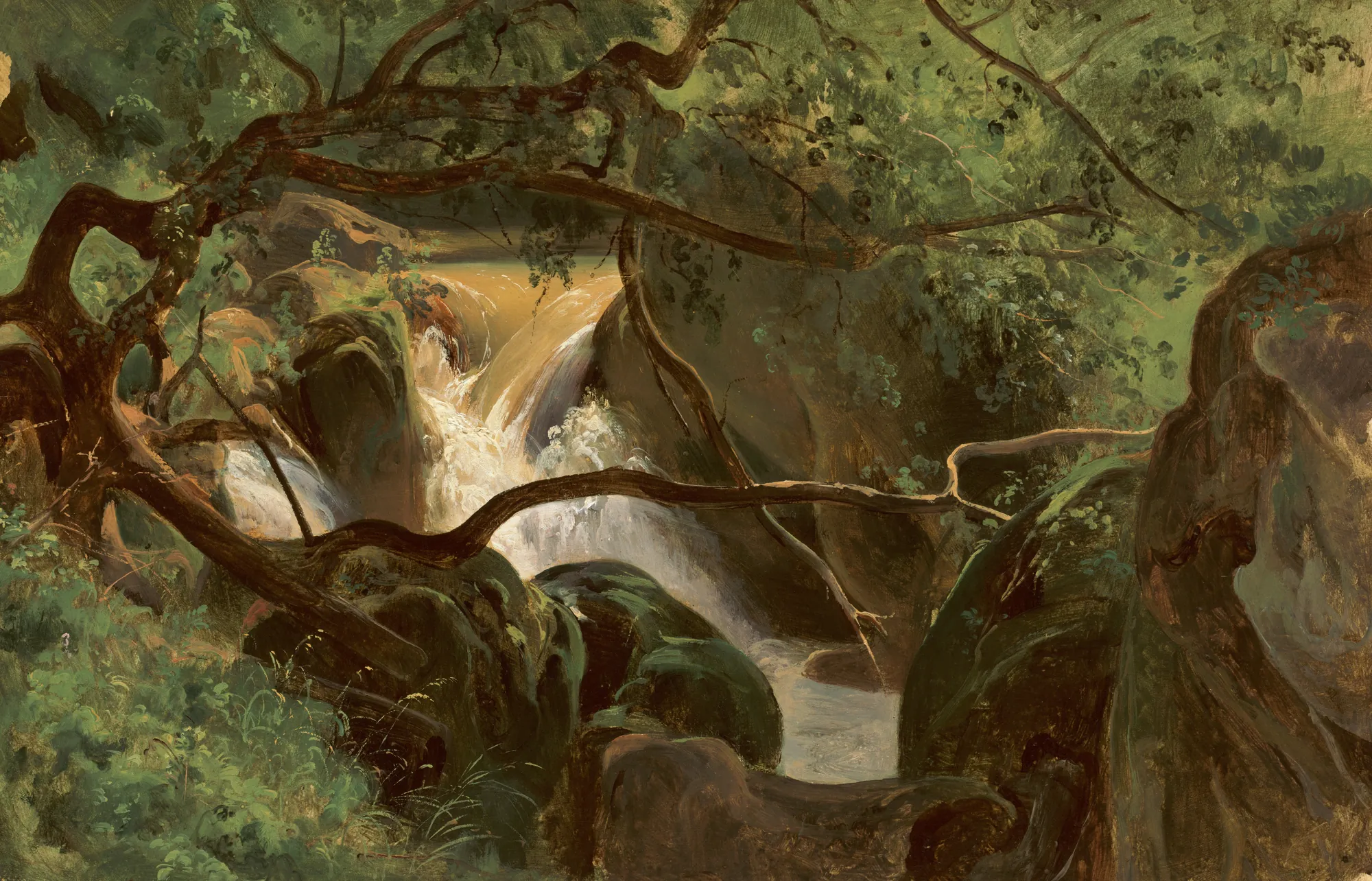 Forest Interior with a Waterfall, Papigno