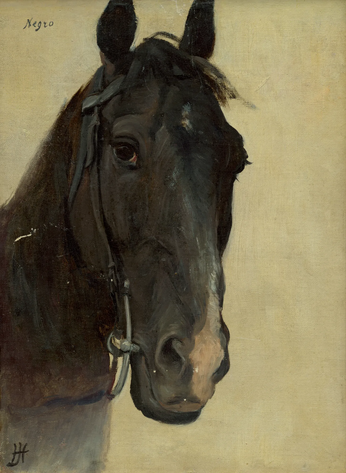 Head Study of Horse Negro