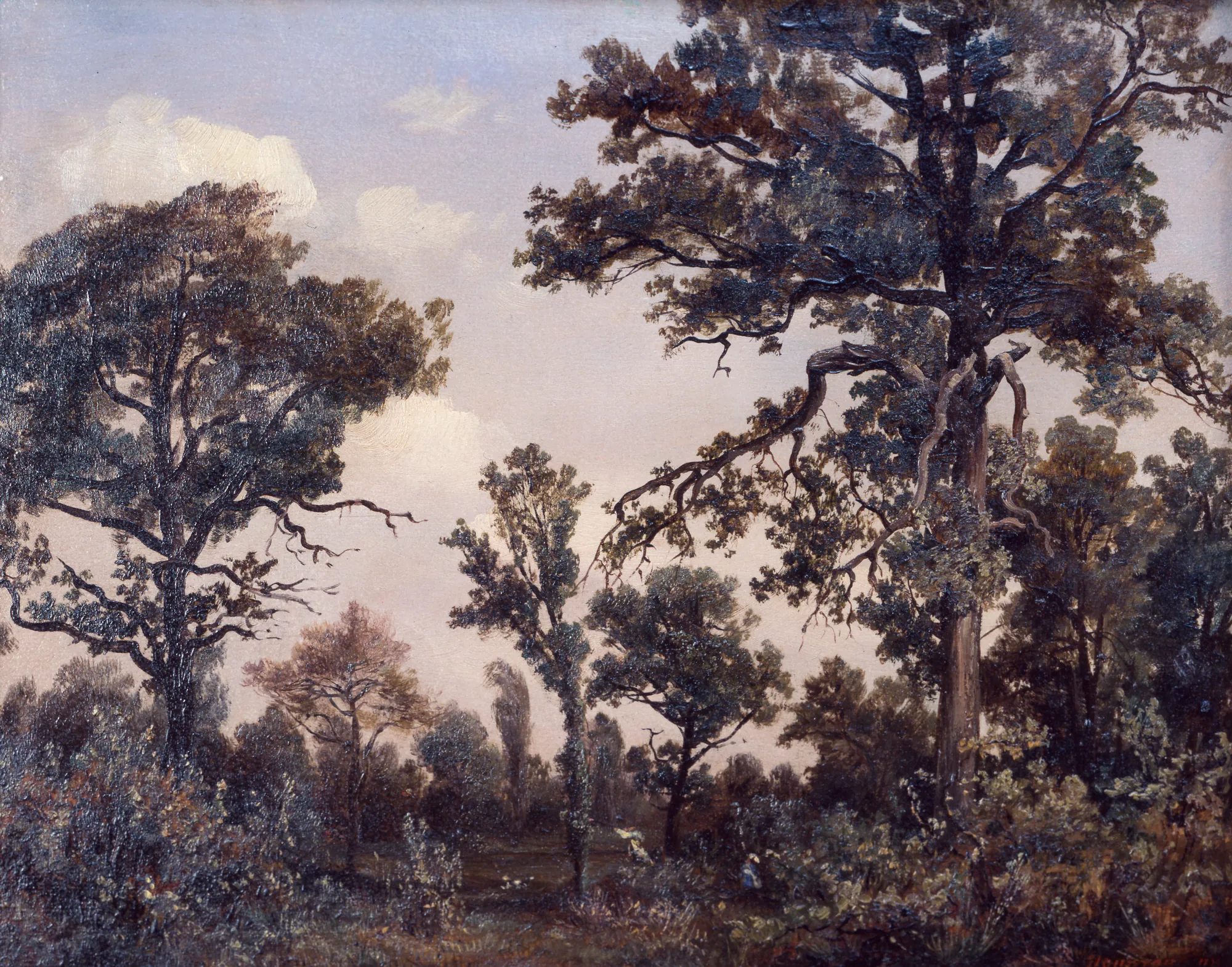 The Large Oak Tree, Forest of Fontainebleau