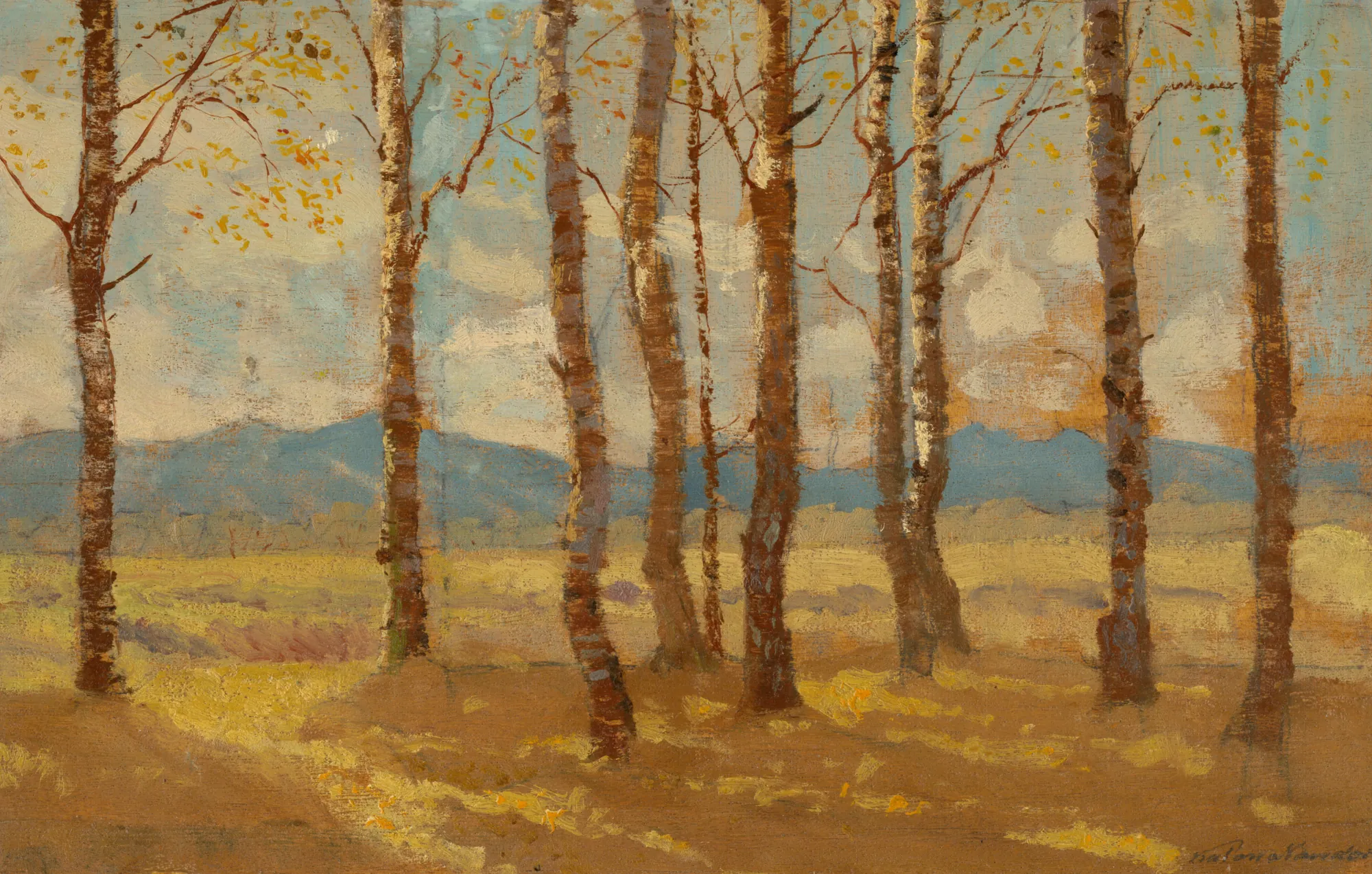 Birches in Autumn