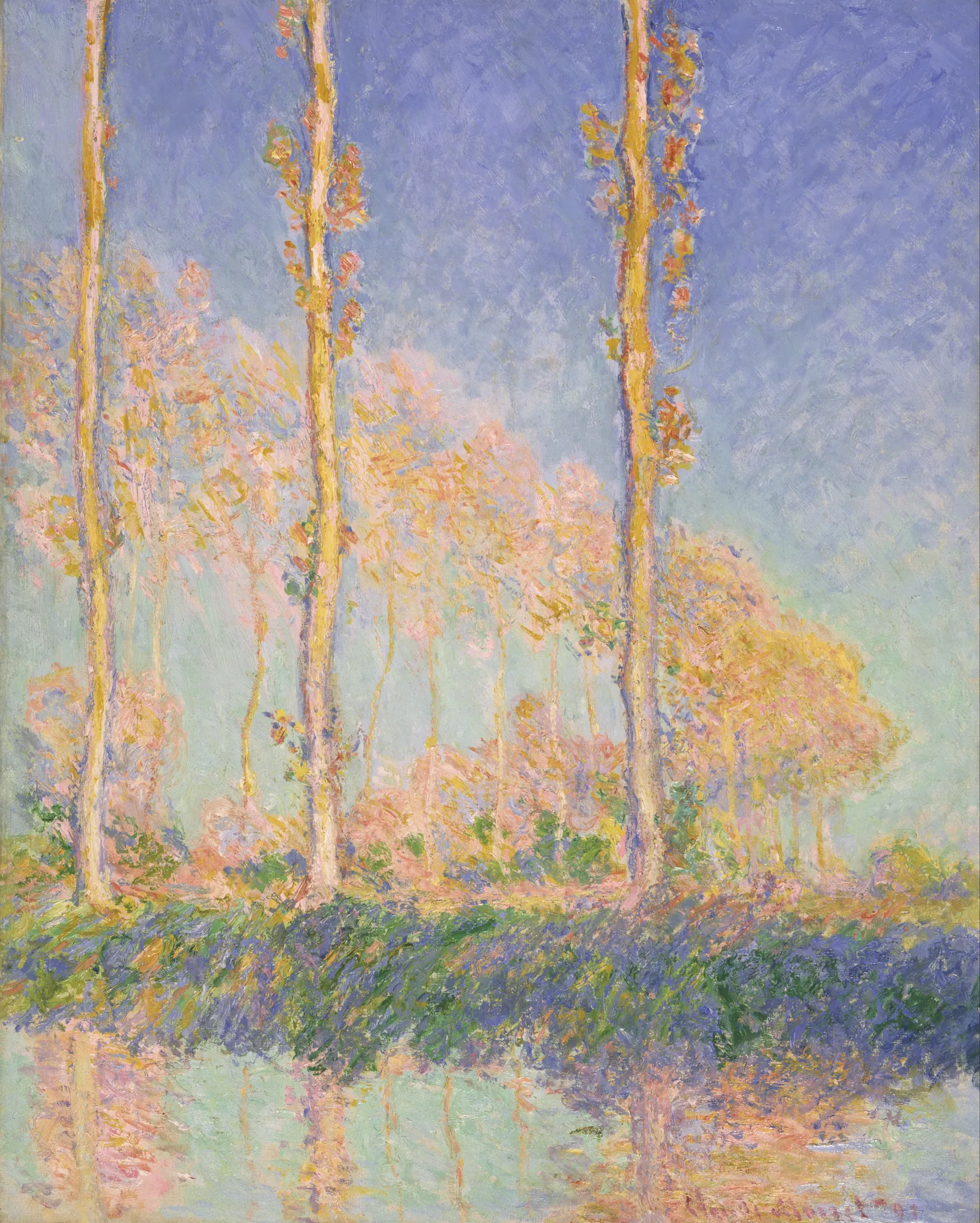 Poplars