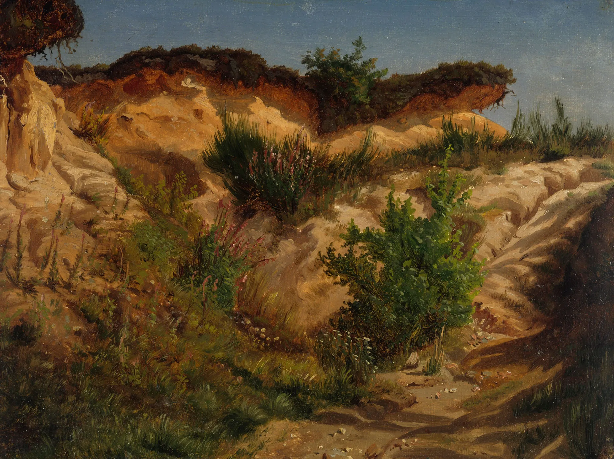 Sand Pit, Study