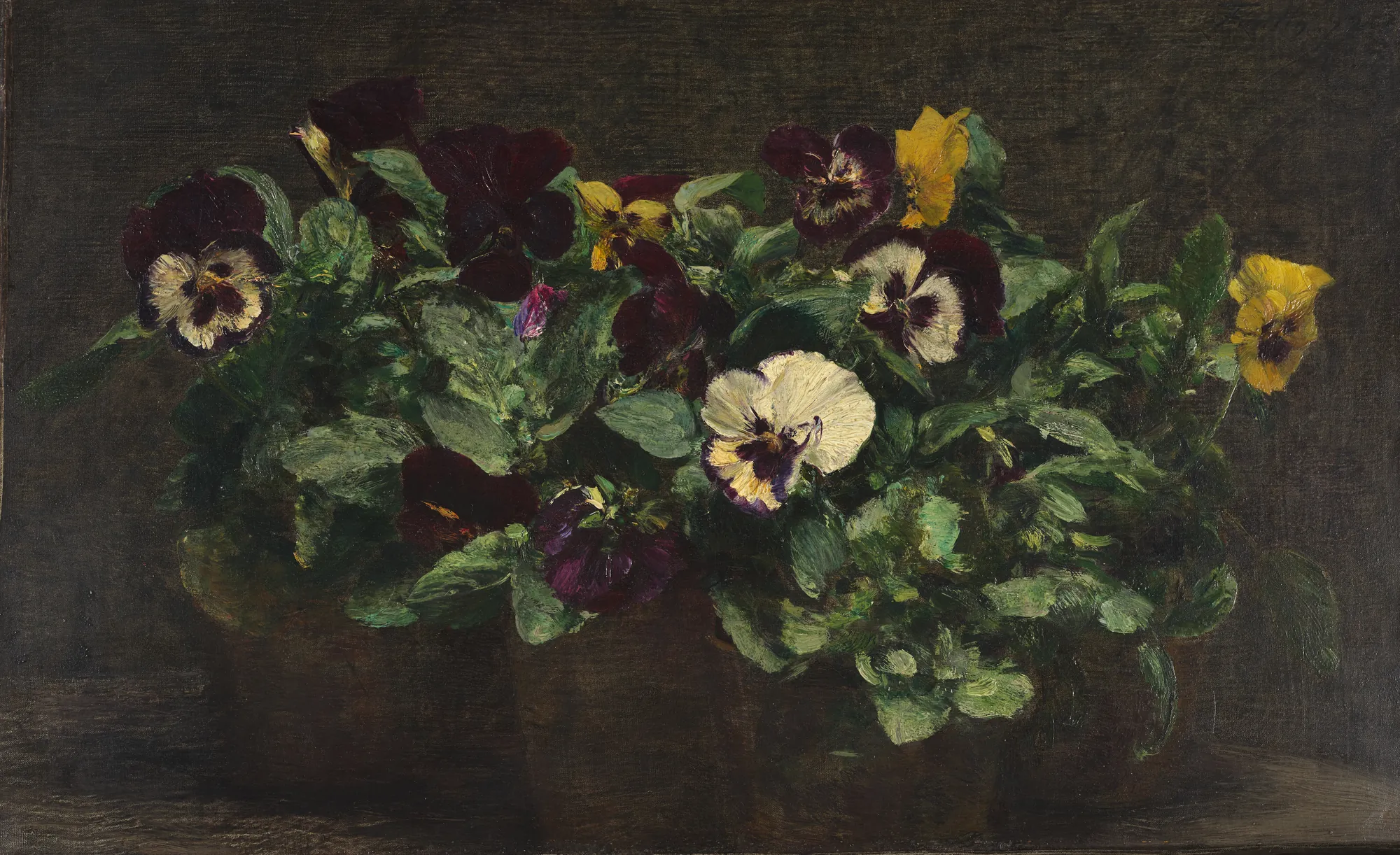 Still Life with Pansies