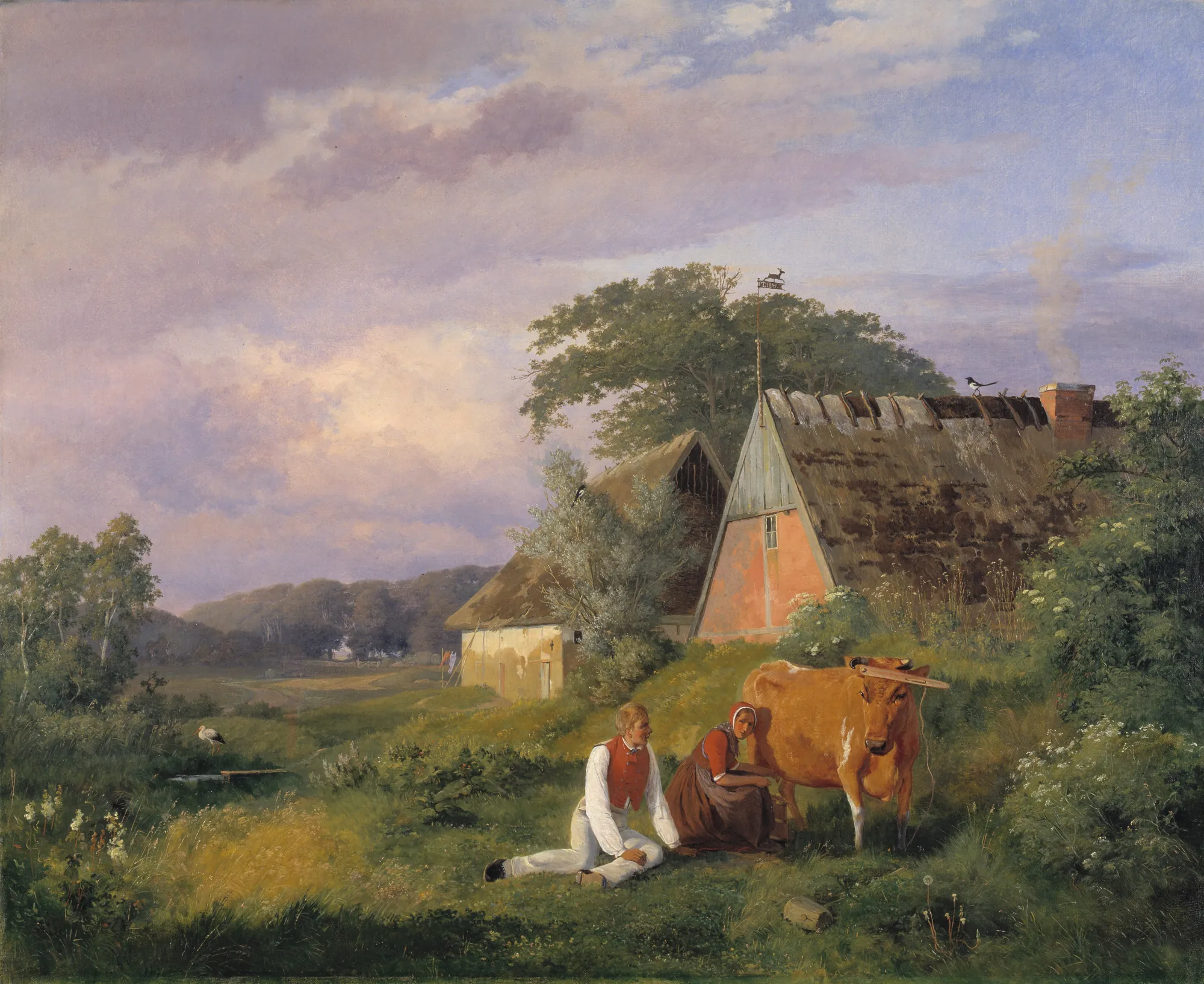 Milking Scene
