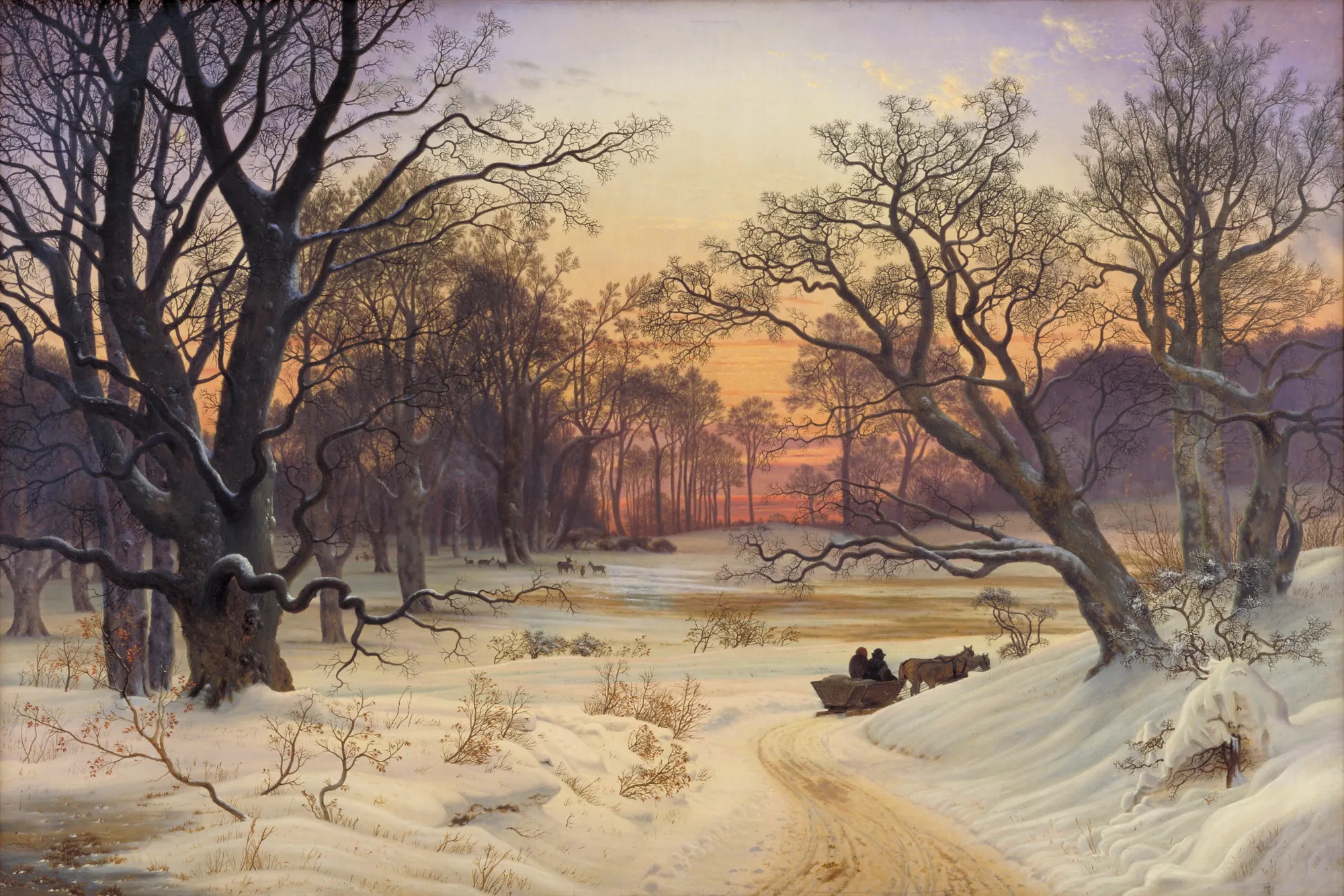 Winter Night in a Forest