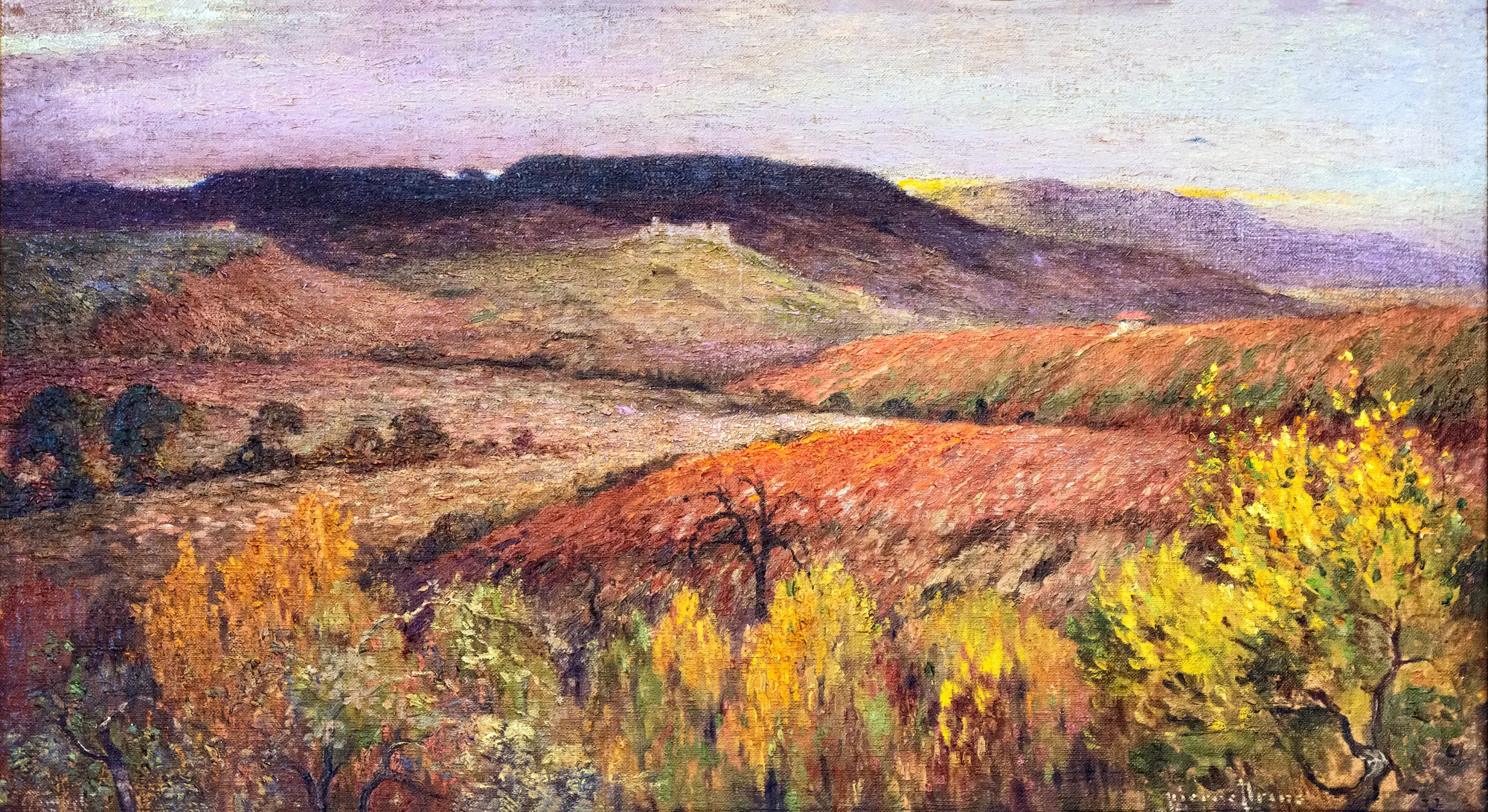 Coucher de soleil au dessus de la Grésigne
