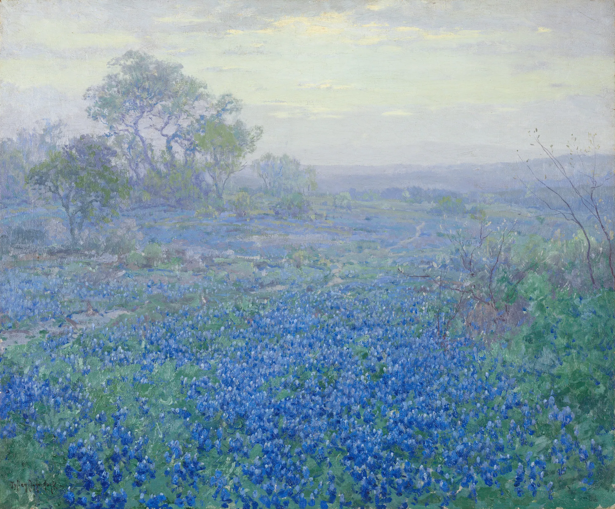 A Cloudy Day, Bluebonnets near San Antonio, Texas
