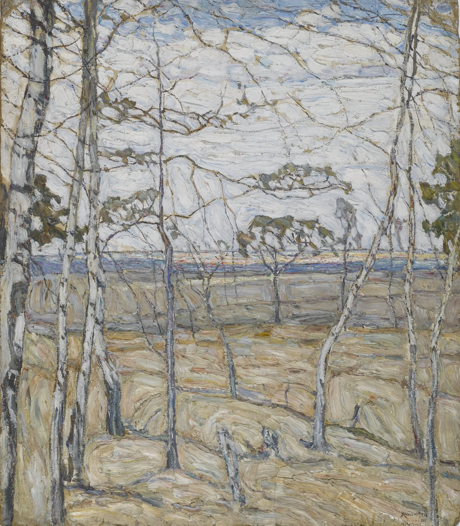 Birch Trees