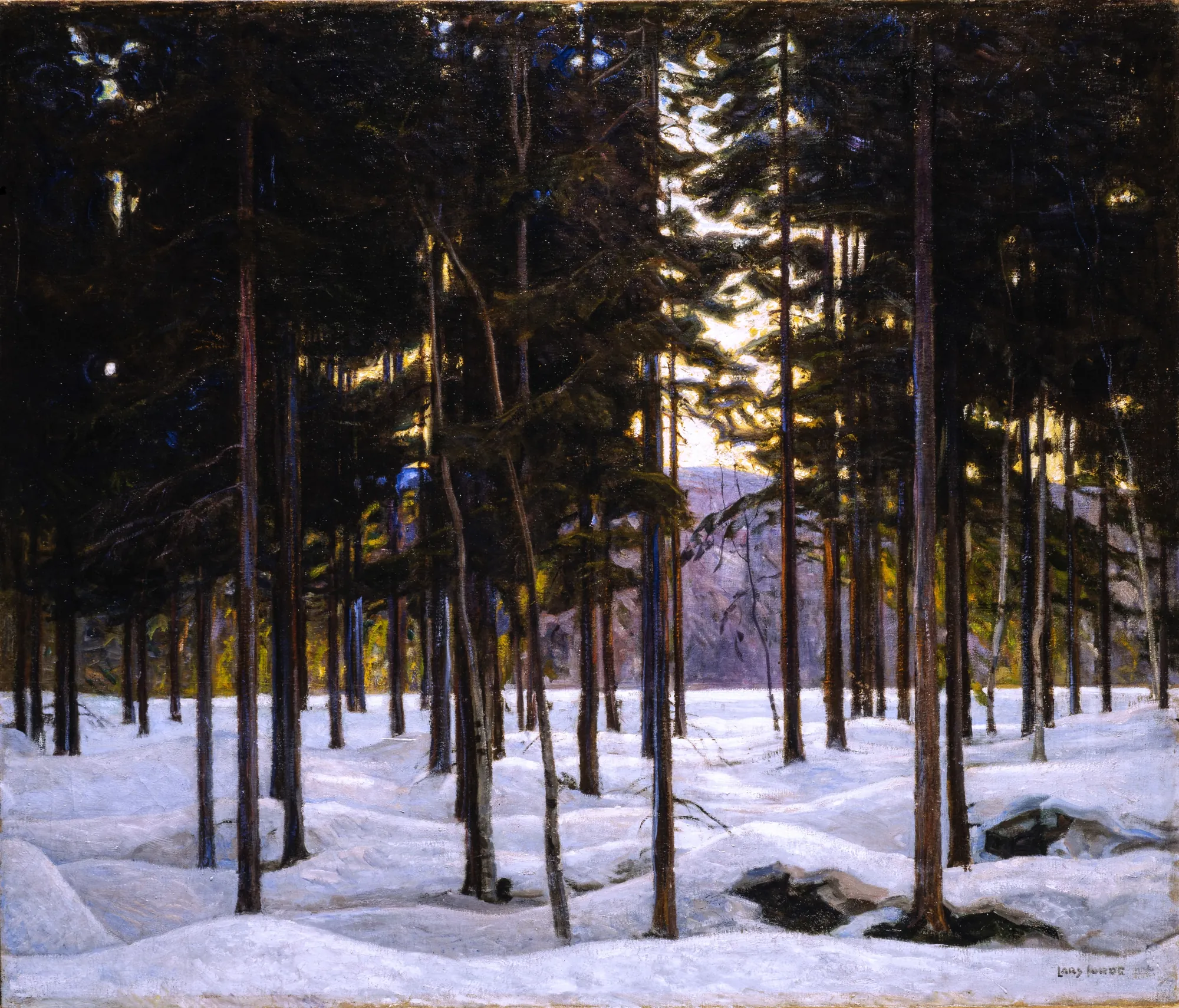 Forest Interior (Skogsinteriør) Forest Interior (Skogsinteriør) by Lars Jorde. A dense stand of dark evergreens rises from a snow-covered forest floor as warm light filters through the trees from the background.