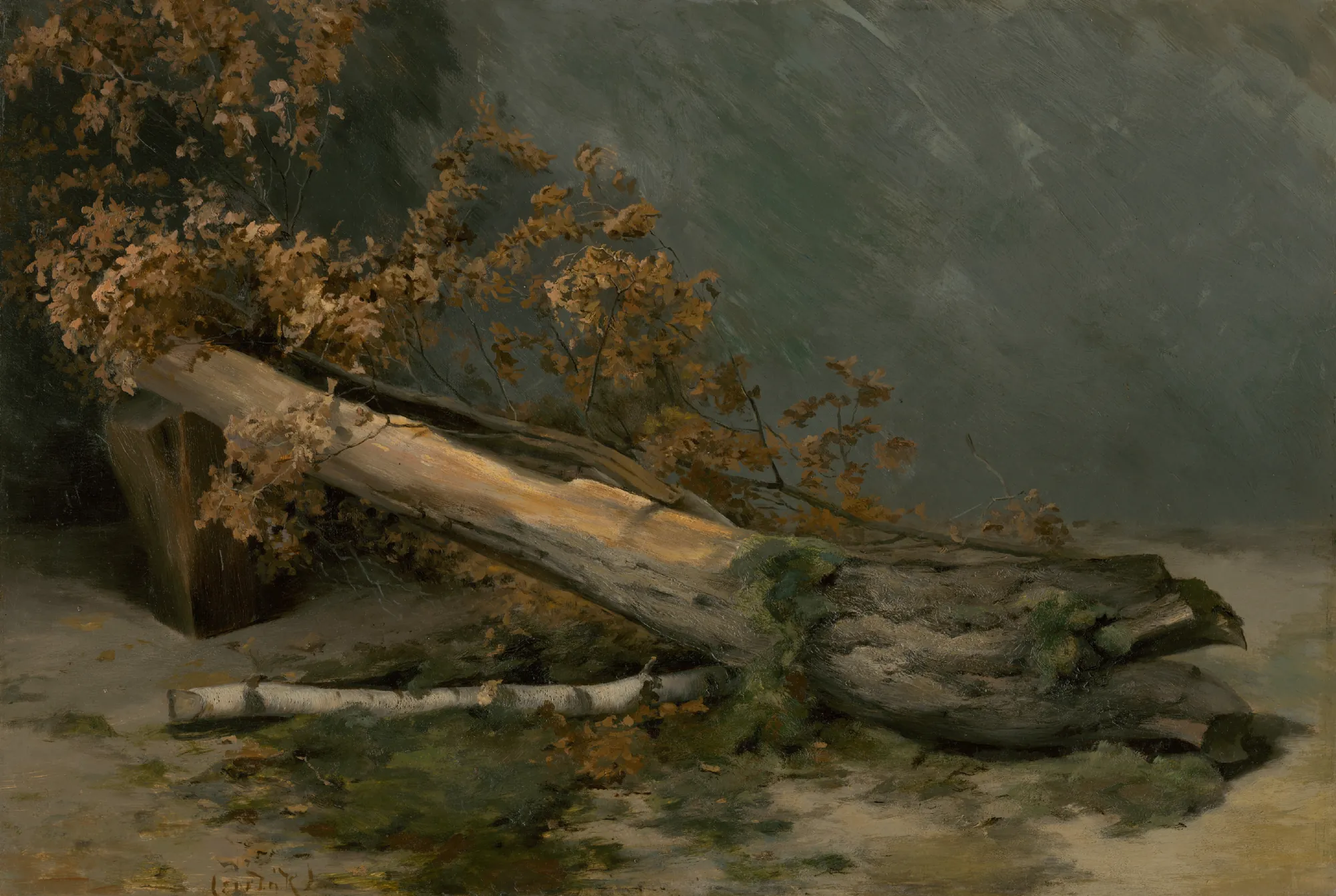 Study of a Dry Tree