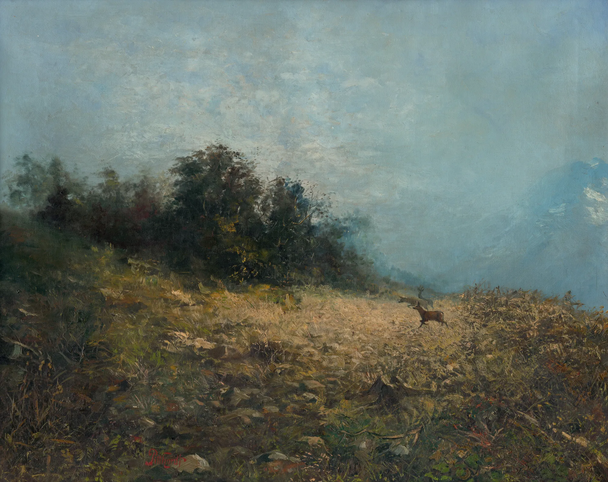 At the Clearing (Na rúbanisku)