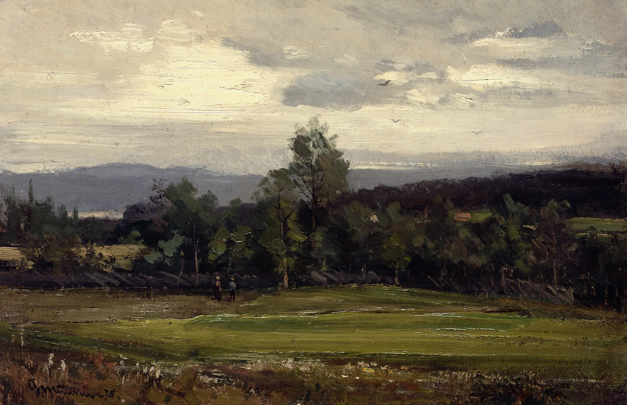 Fields at Hedmark in Summer