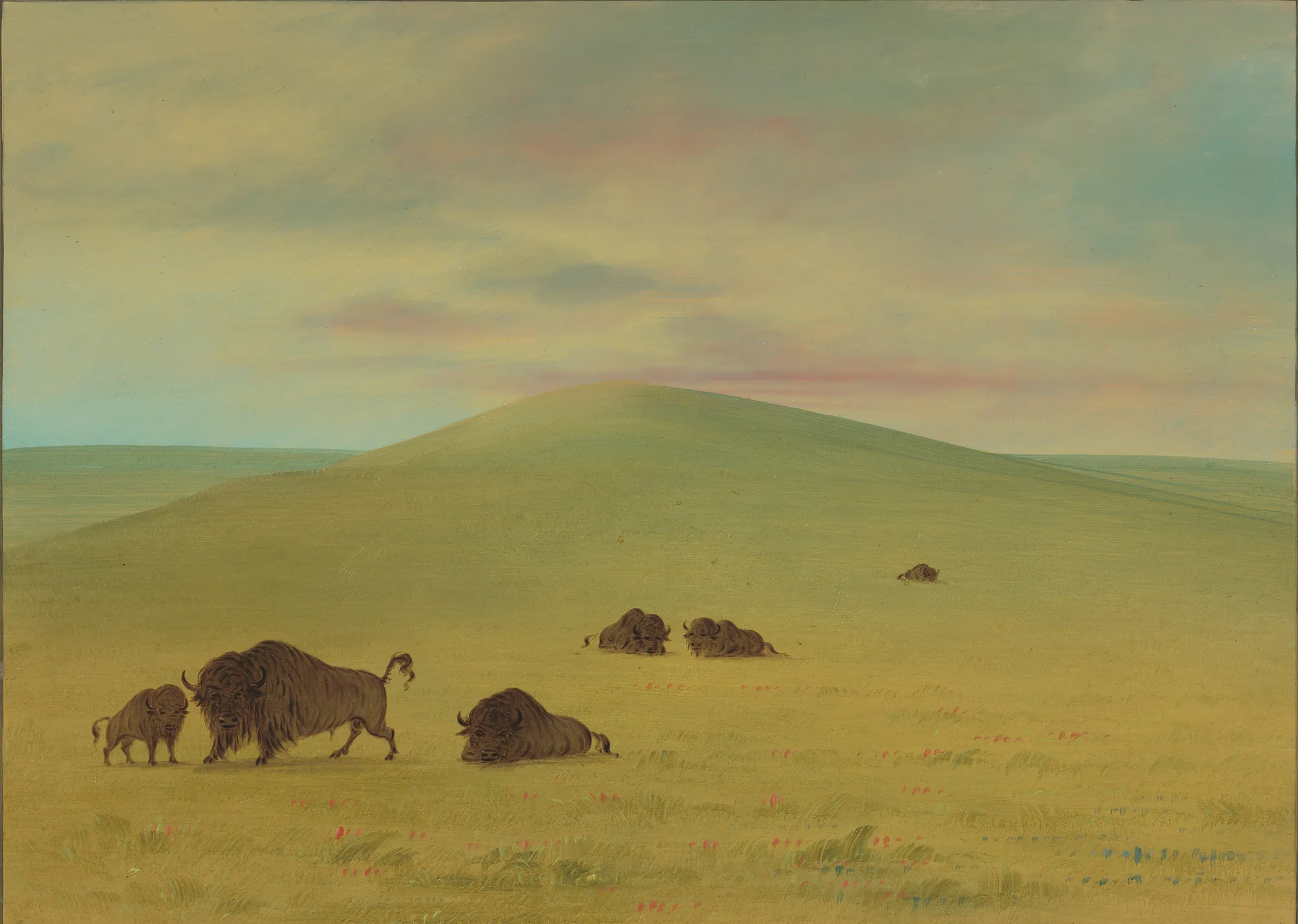 American Pasturage - Prairies of the Platte