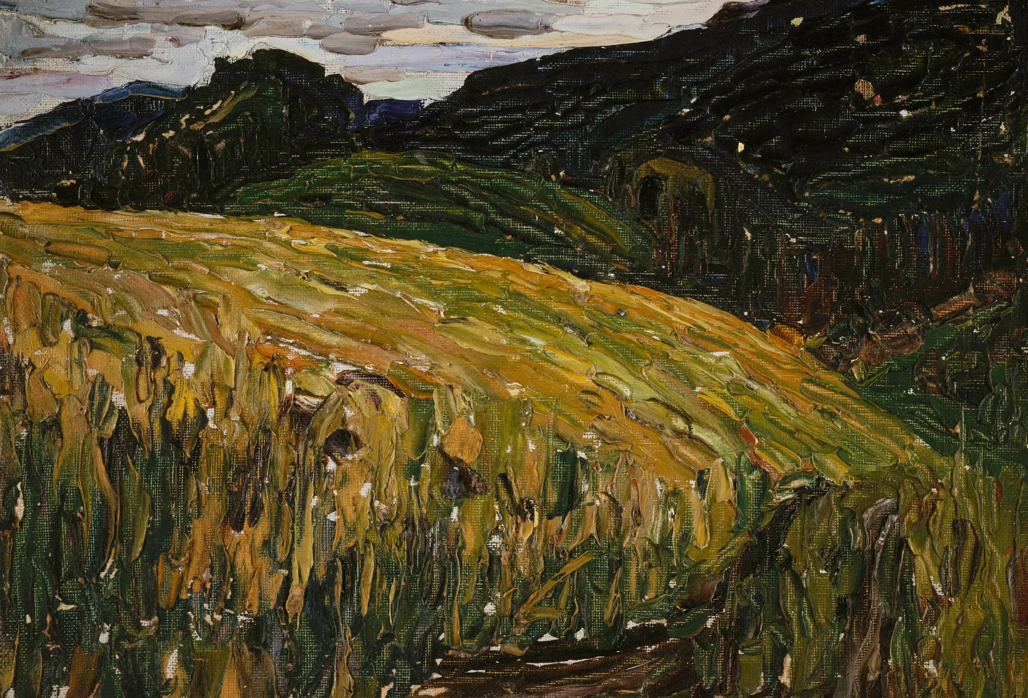 Kochel, Mountain Meadow