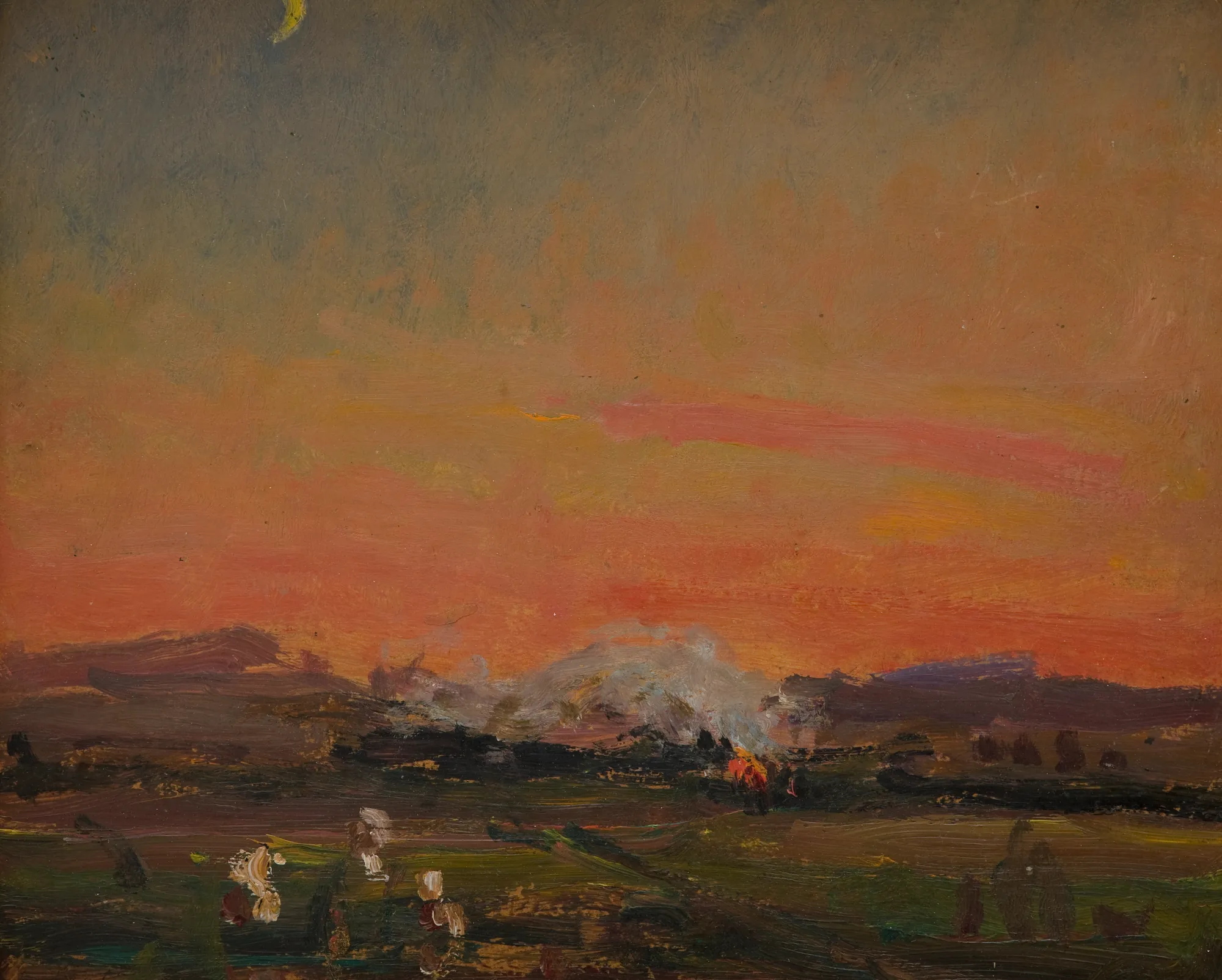 In the Field (Sunset in Ukraine)