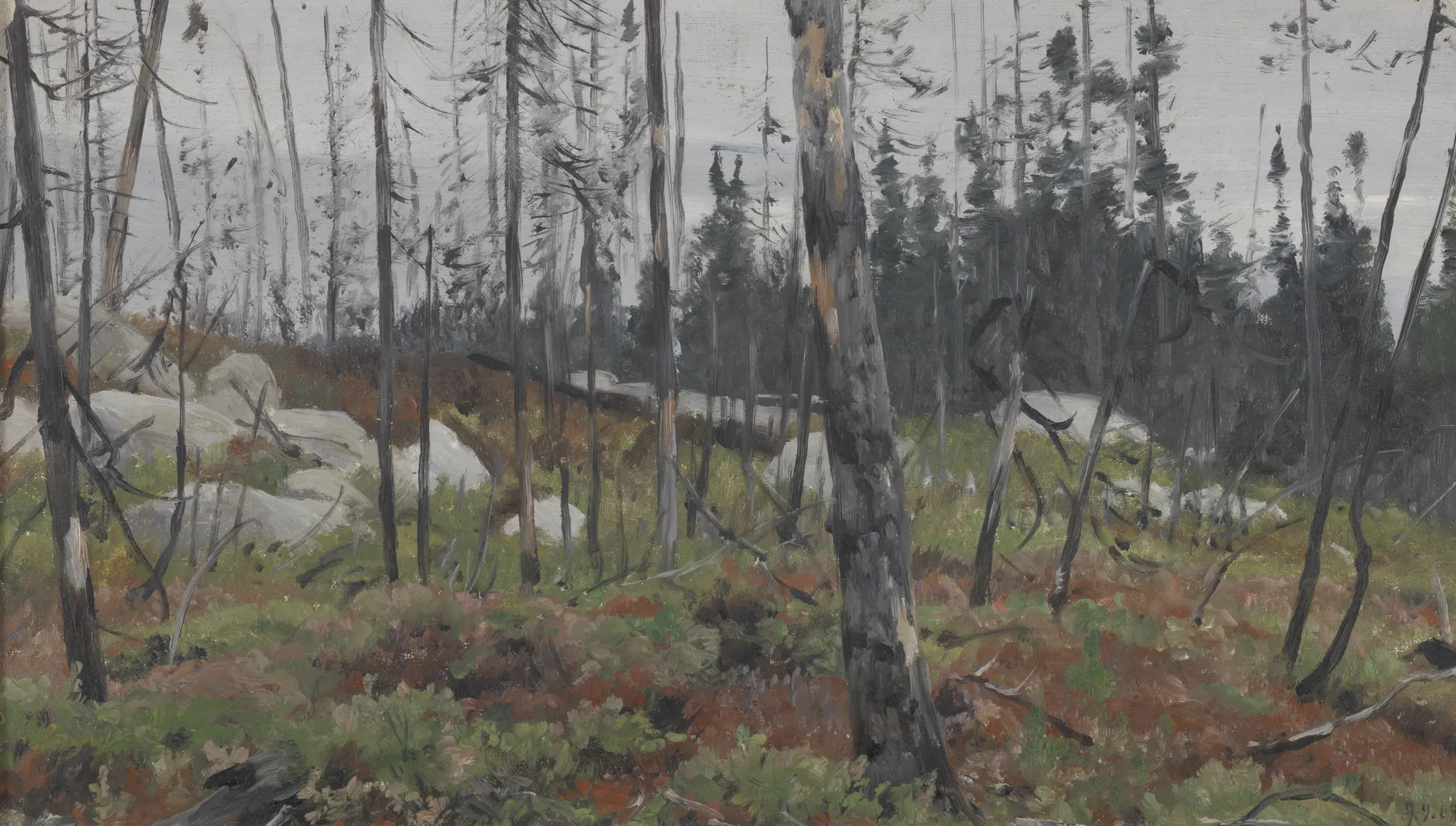 Mixed Forest in Canada