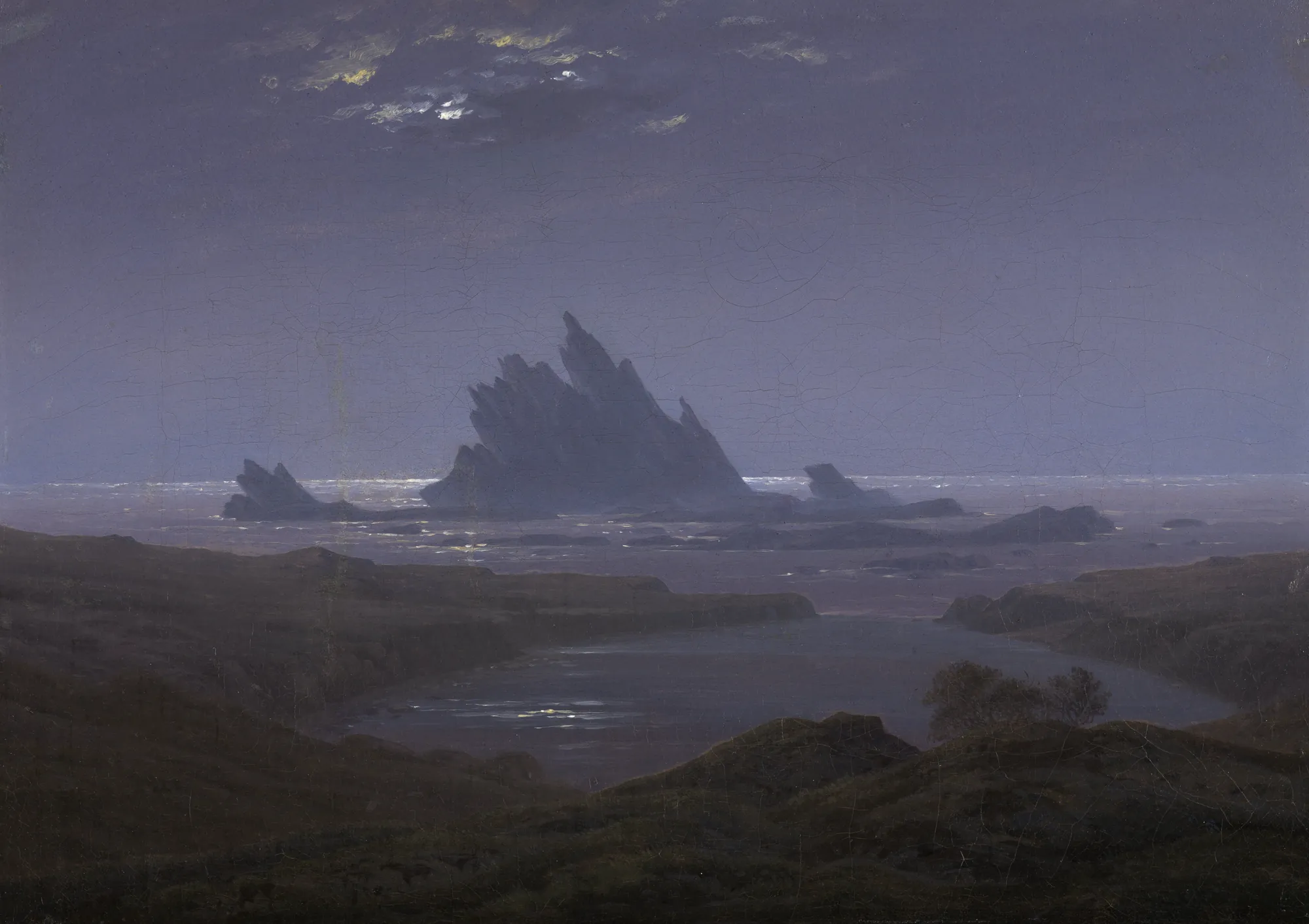 Reefs by the Seashore
