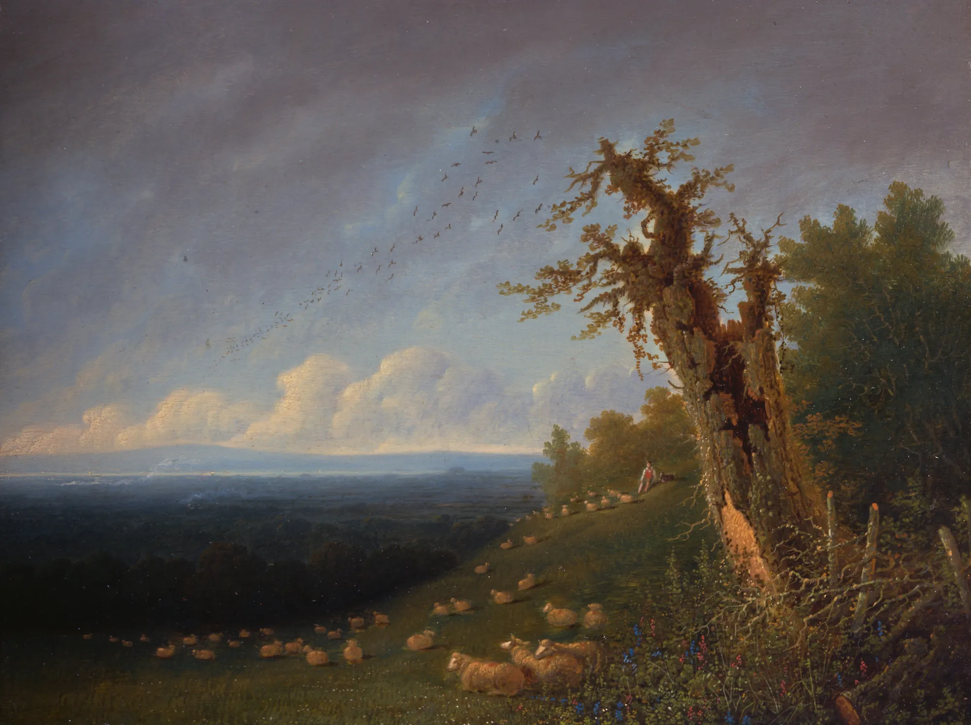 Shepherd Boy on a Hillside